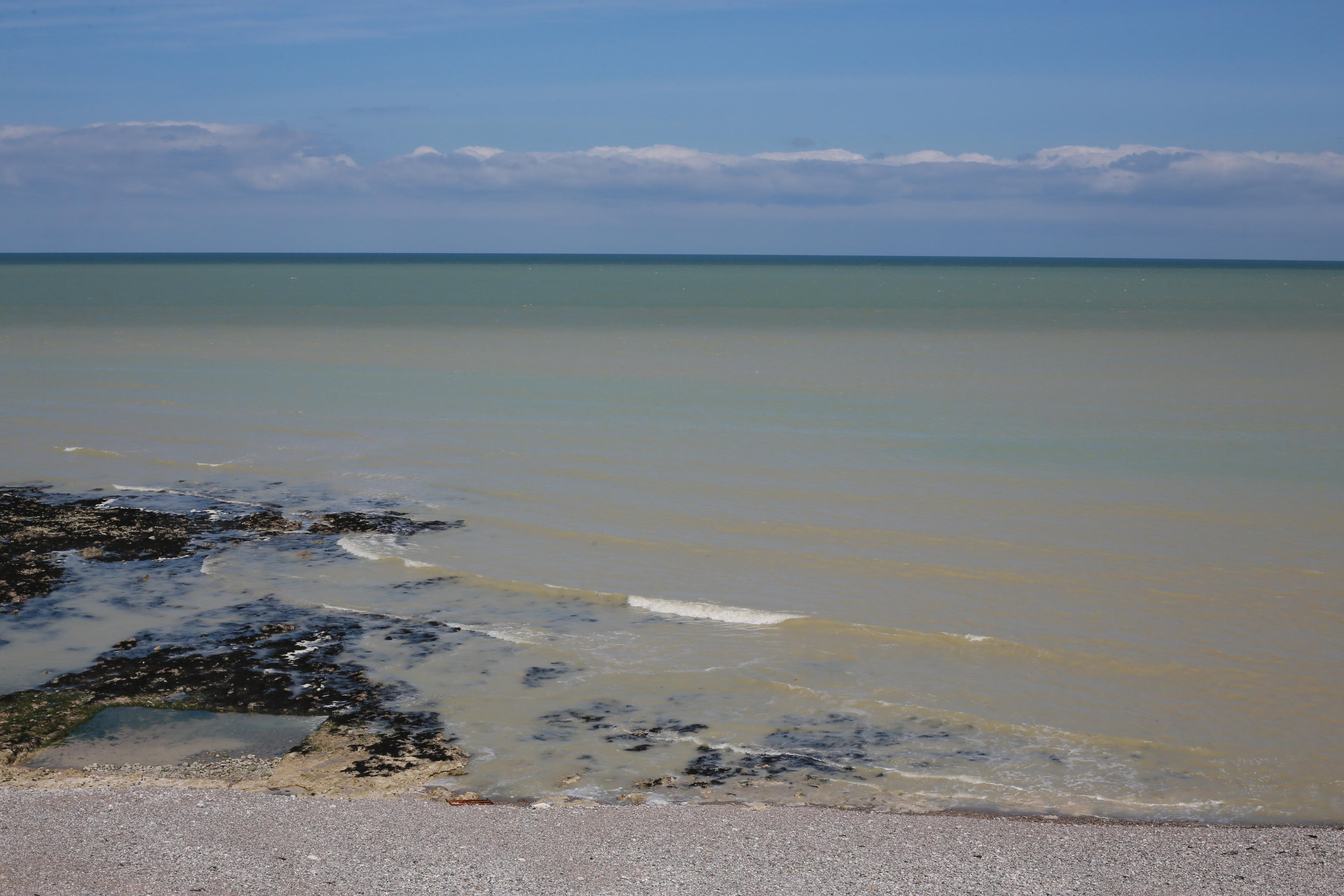 NATURE MORTE et VIVANTE. Natalia Bogdanovska. Films et photographie corporate en France