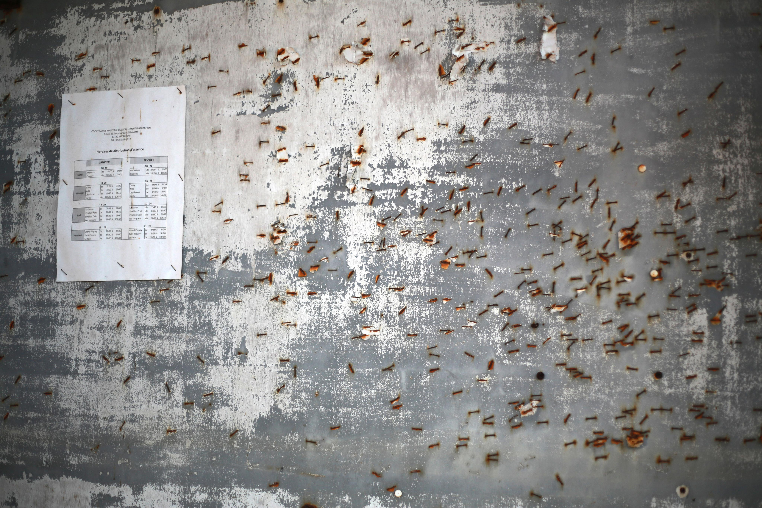 NATURE MORTE et VIVANTE. Natalia Bogdanovska. Films et photographie corporate en France