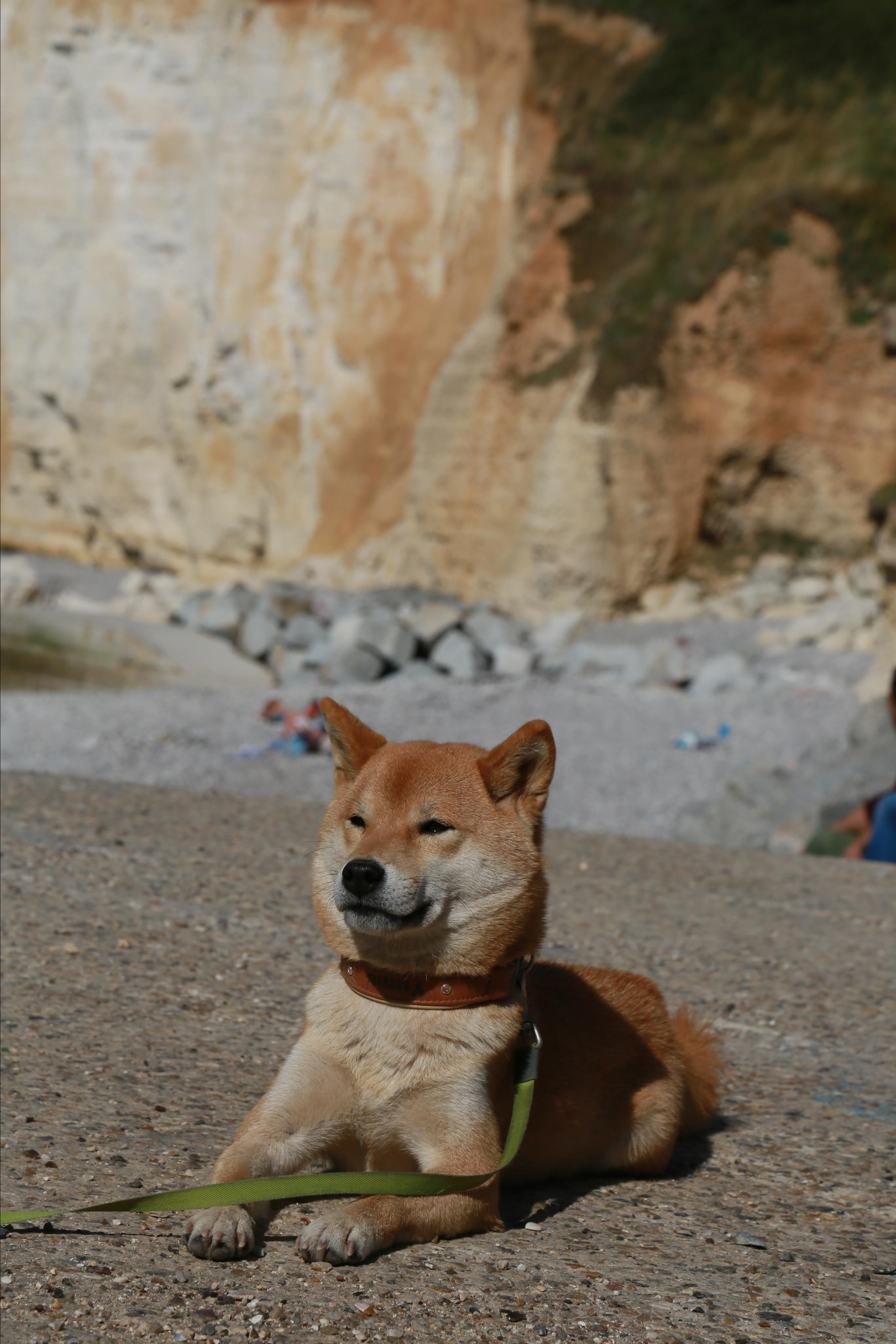NATURE MORTE et VIVANTE. Natalia Bogdanovska. Films et photographie corporate en France