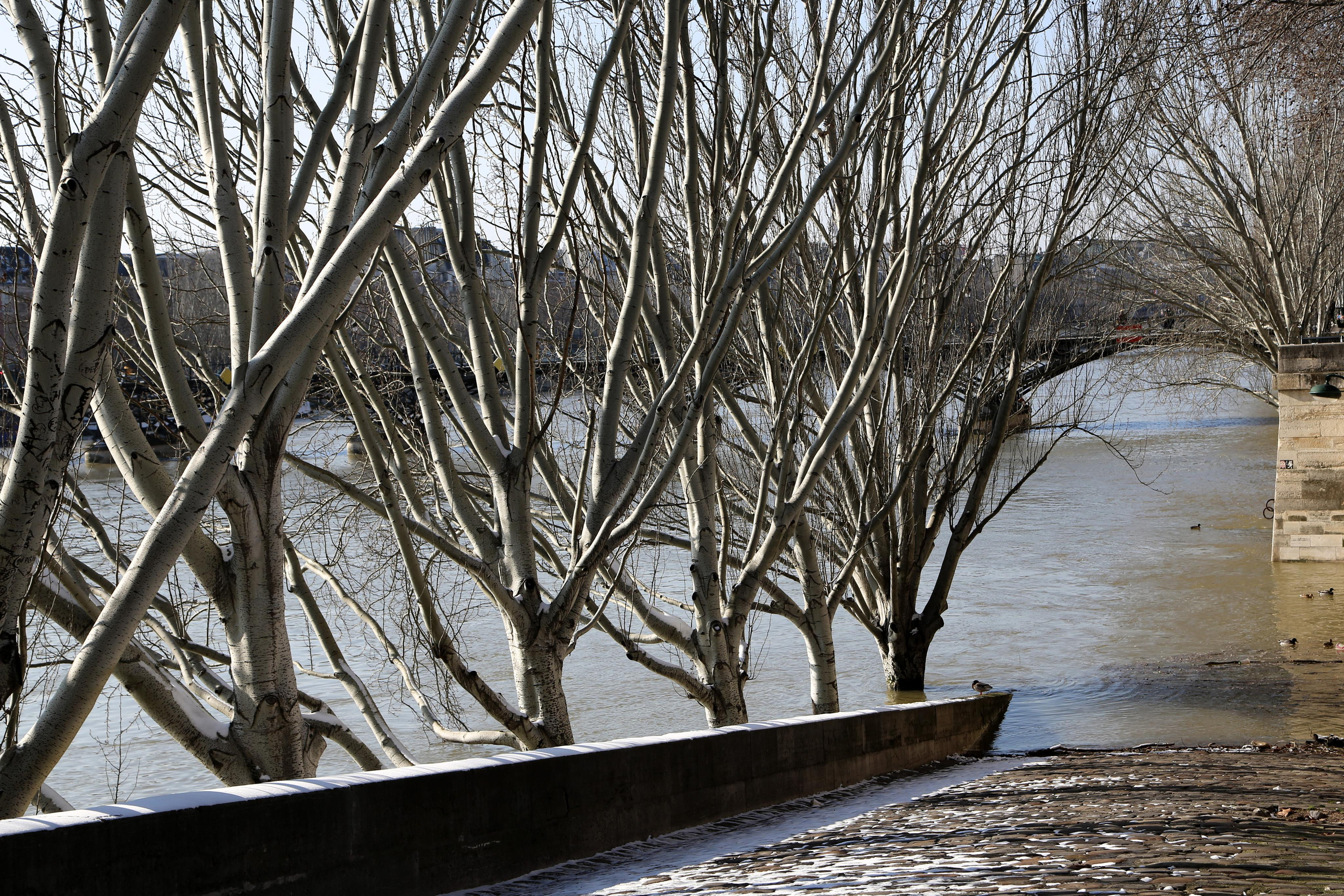 Paris. Natalia Bogdanovska. Films et photographie corporate en France