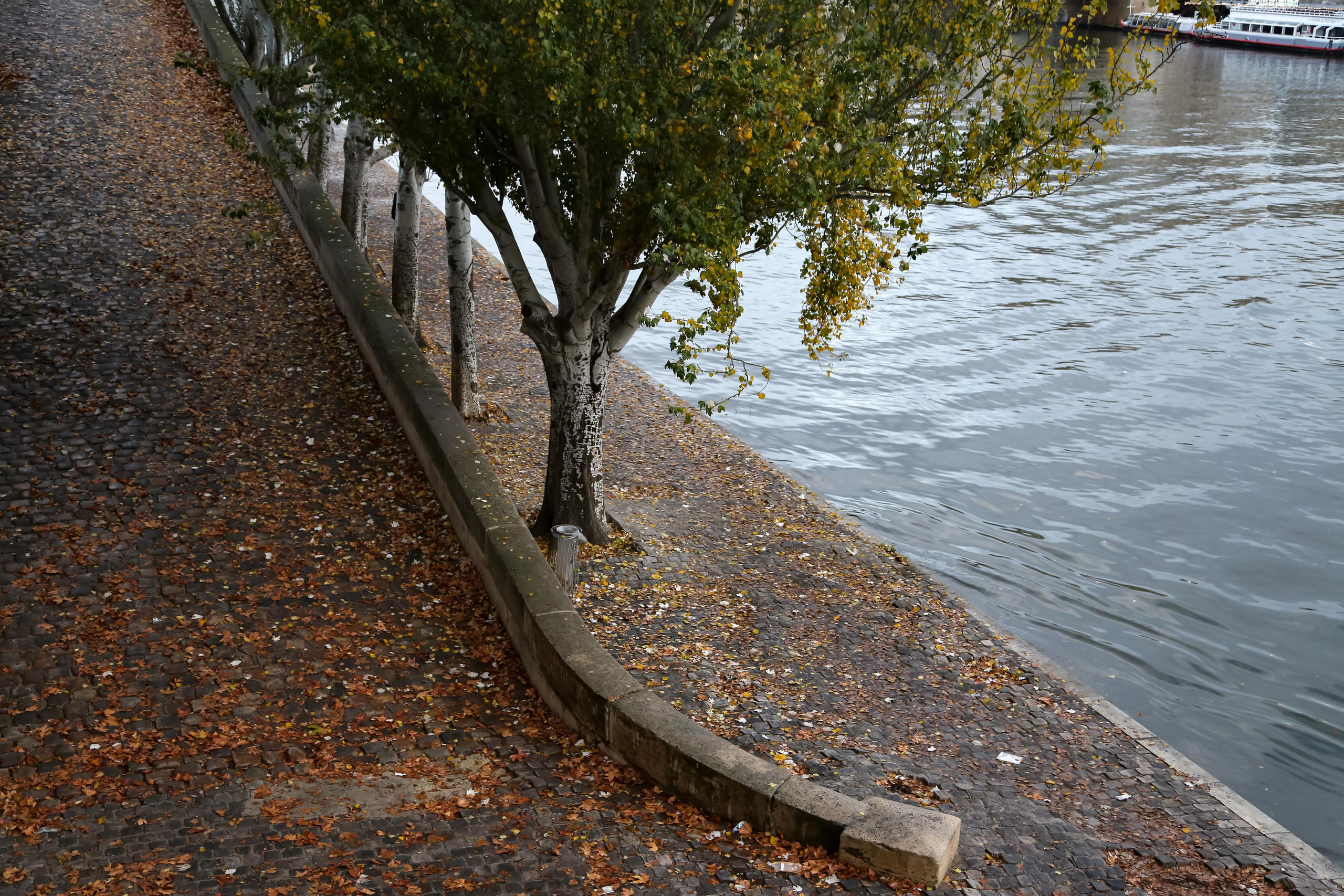 Paris. Natalia Bogdanovska. Films et photographie corporate en France