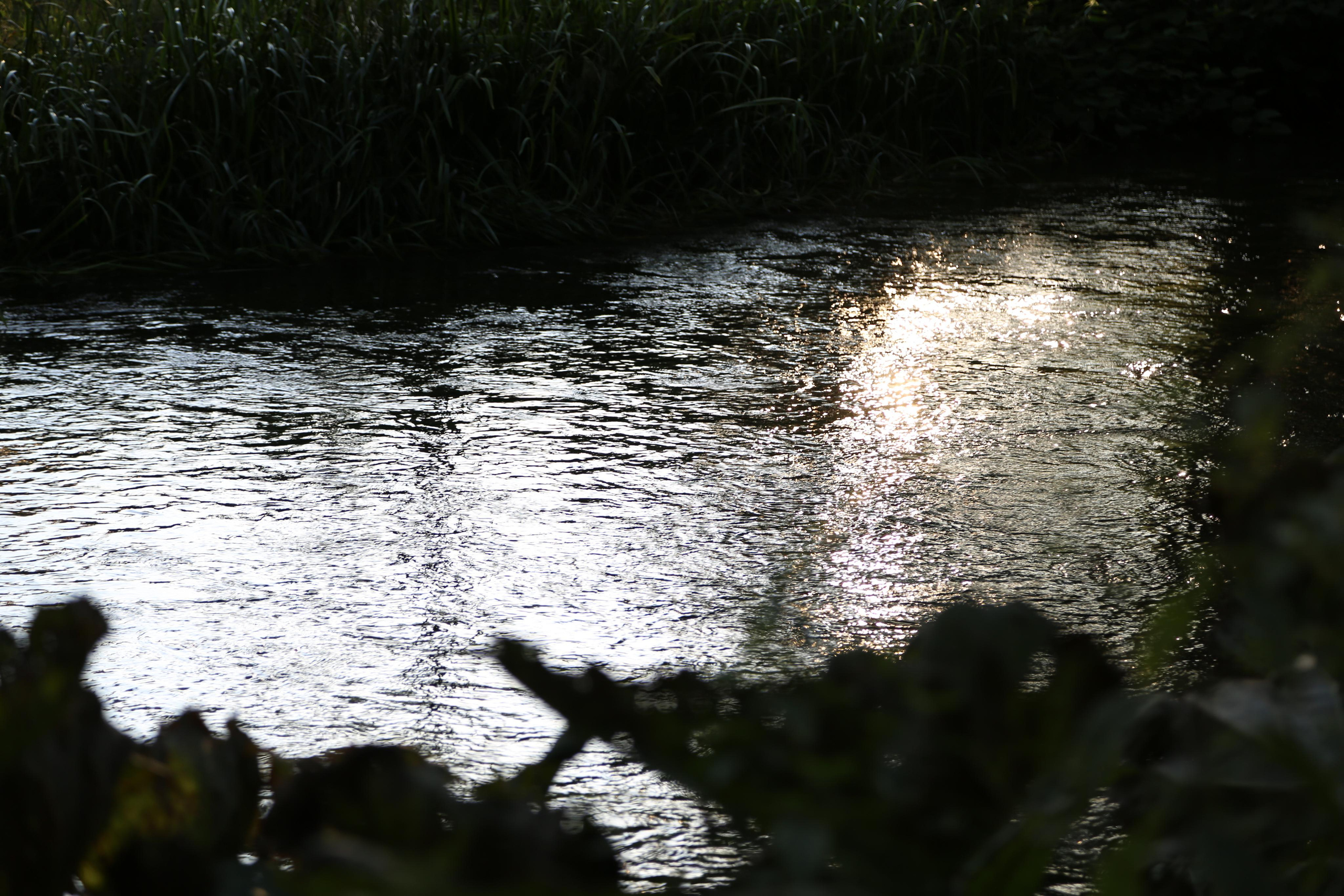 NATURE MORTE et VIVANTE. Natalia Bogdanovska. Films et photographie corporate en France
