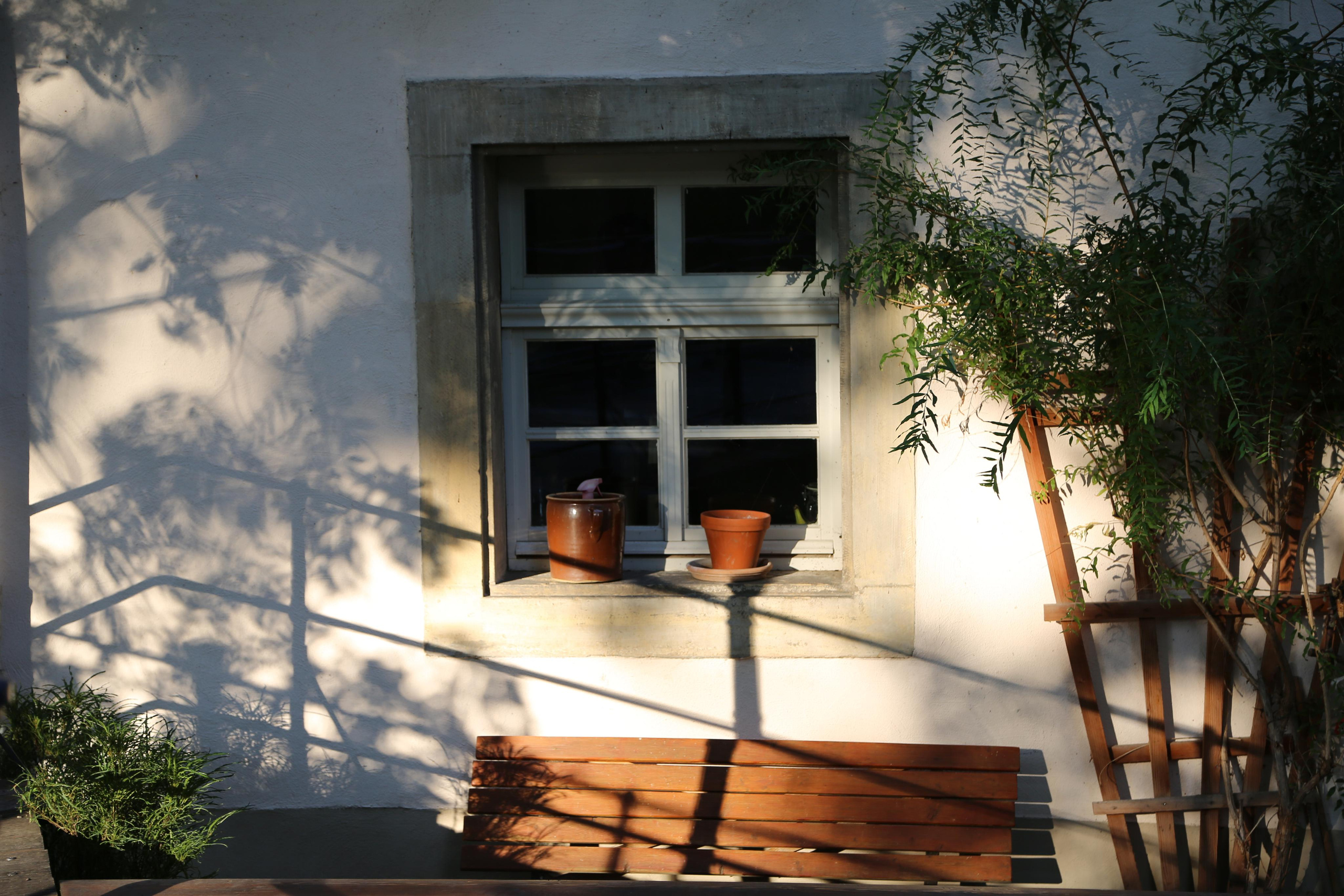 NATURE MORTE et VIVANTE. Natalia Bogdanovska. Films et photographie corporate en France