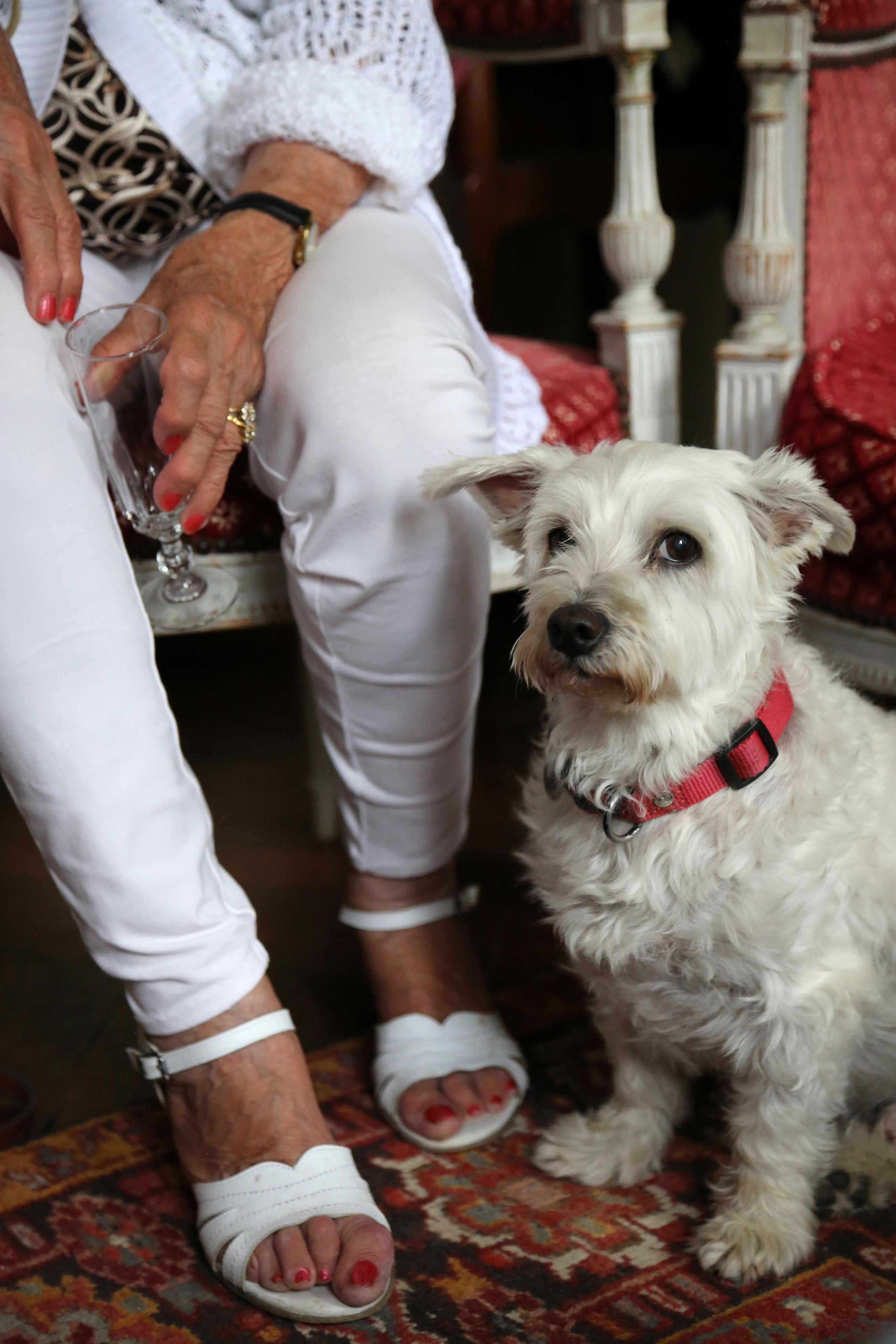 Natalia Bogdanovska. Films et photographie corporate en France