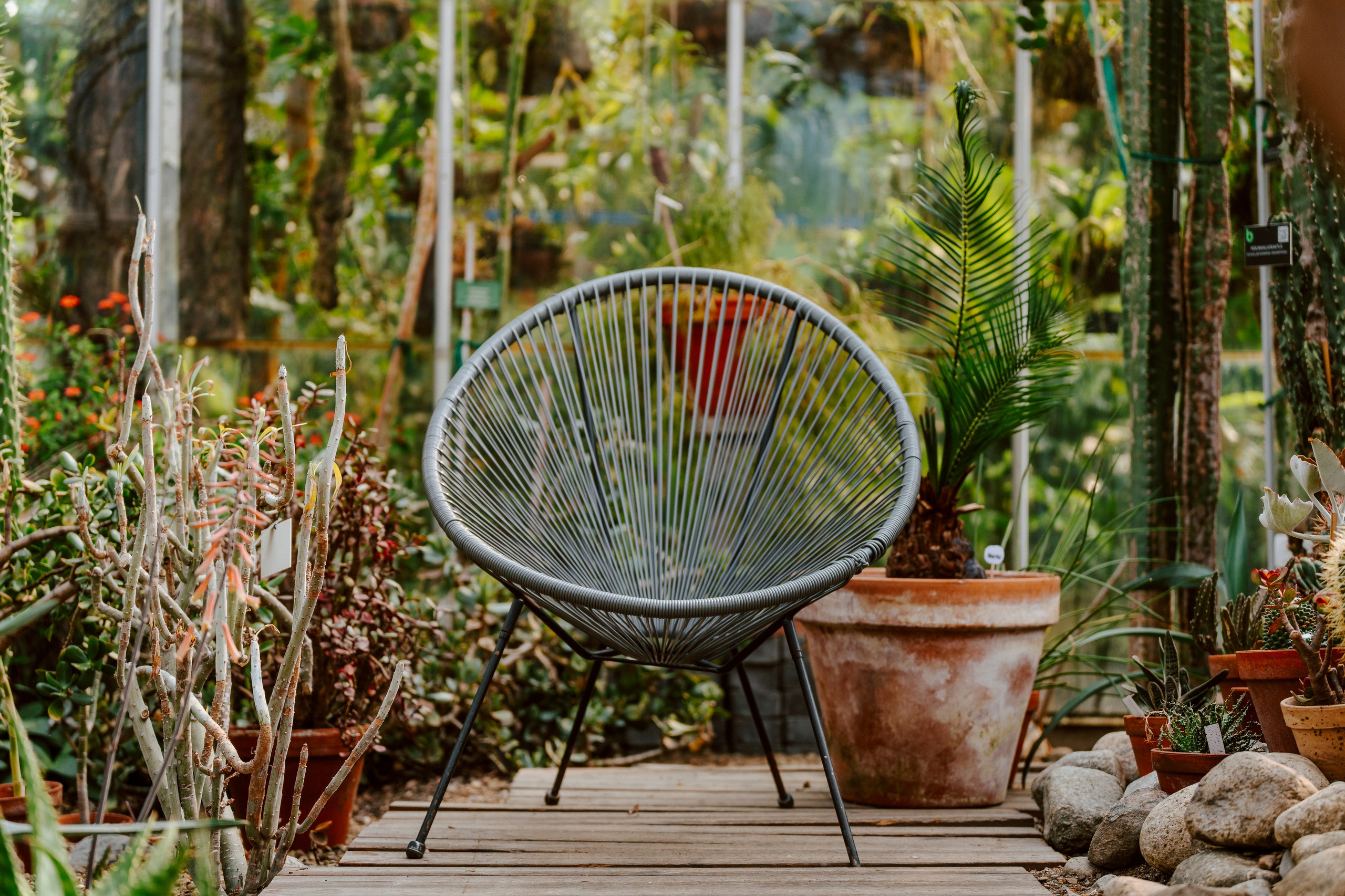 Gallery. Natasha Shakh