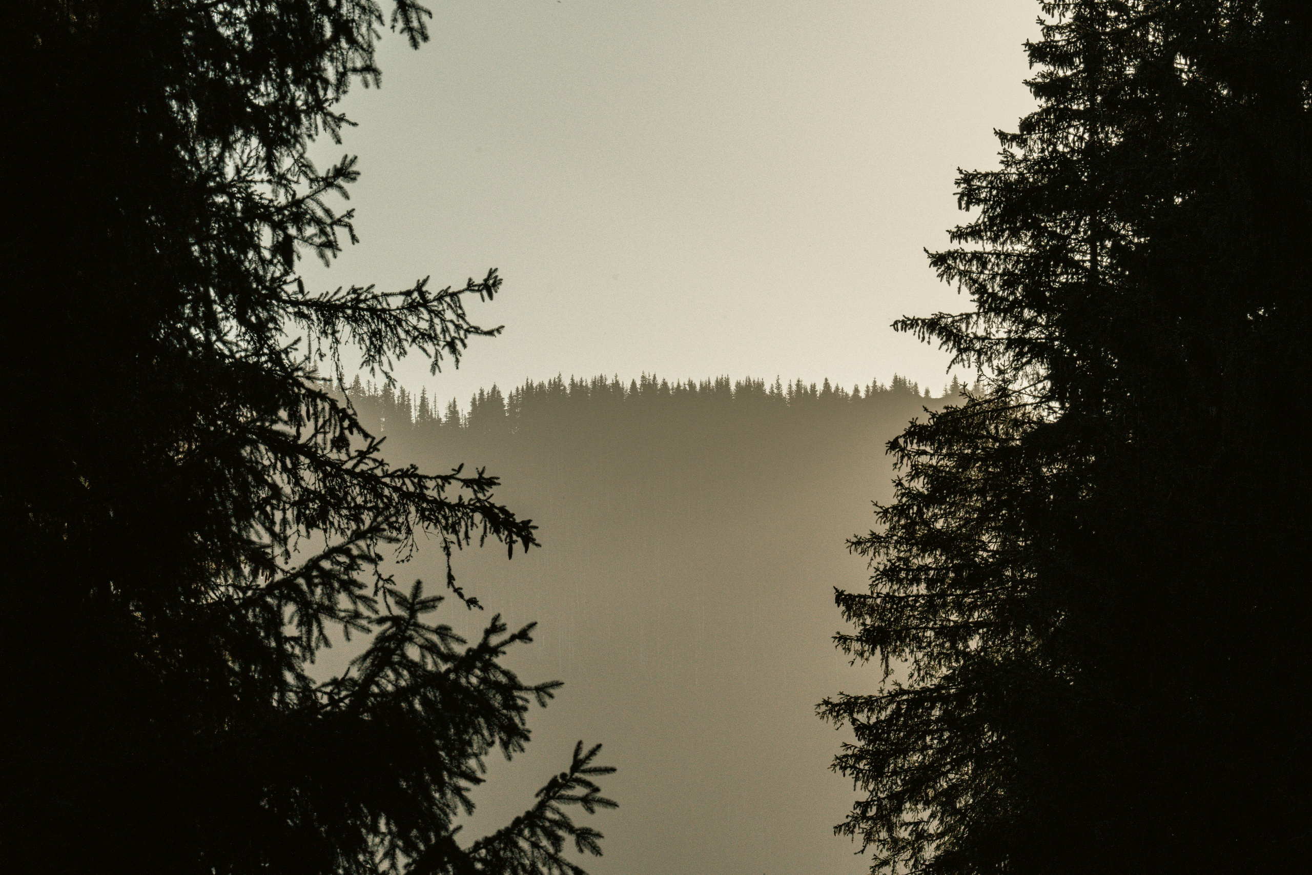 Landscape. Fotograf Poznan