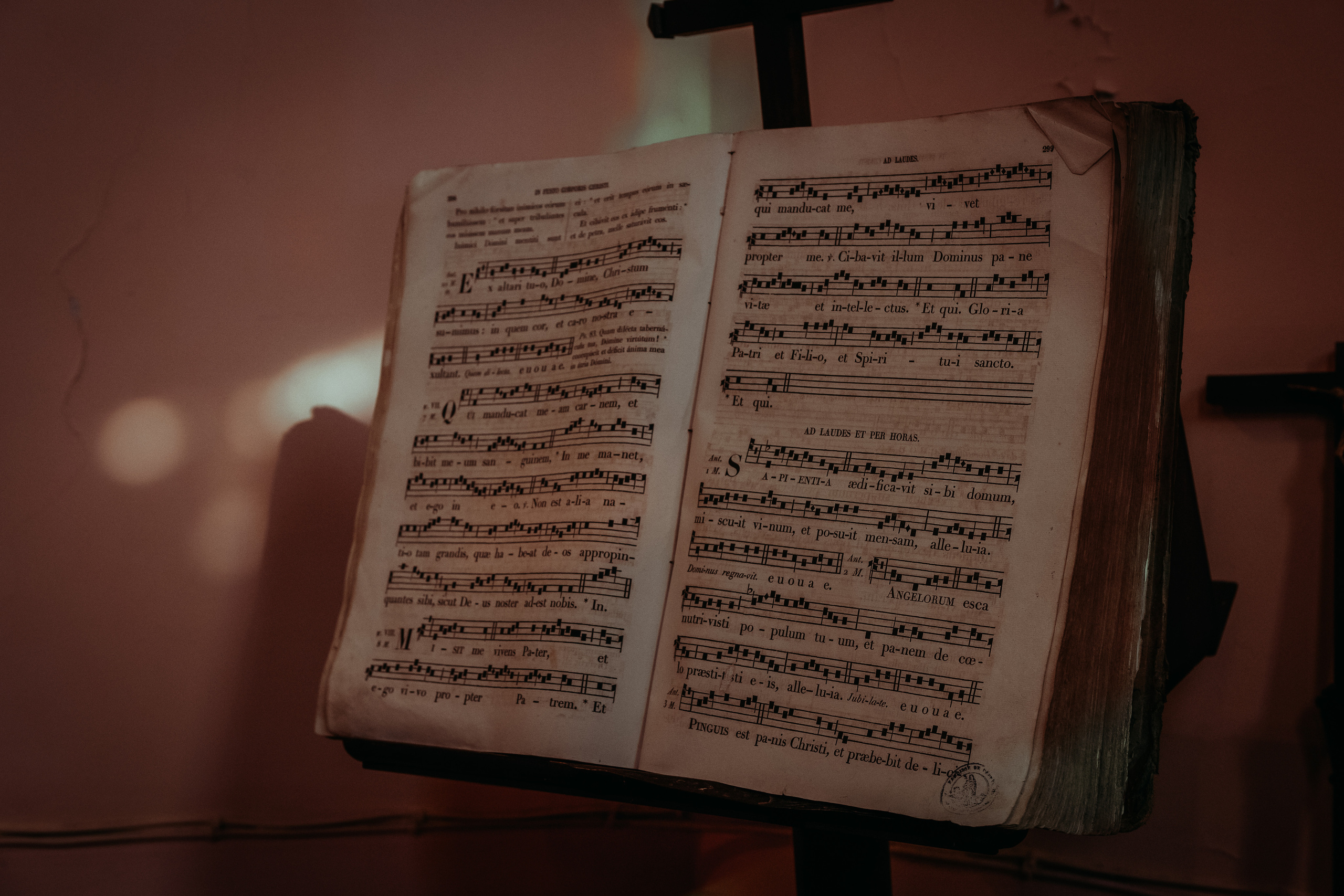 Baptême de Roxane. Eugenie Smirnova — wedding, corporate and lifestyle photographer in Toulouse and Southwest France