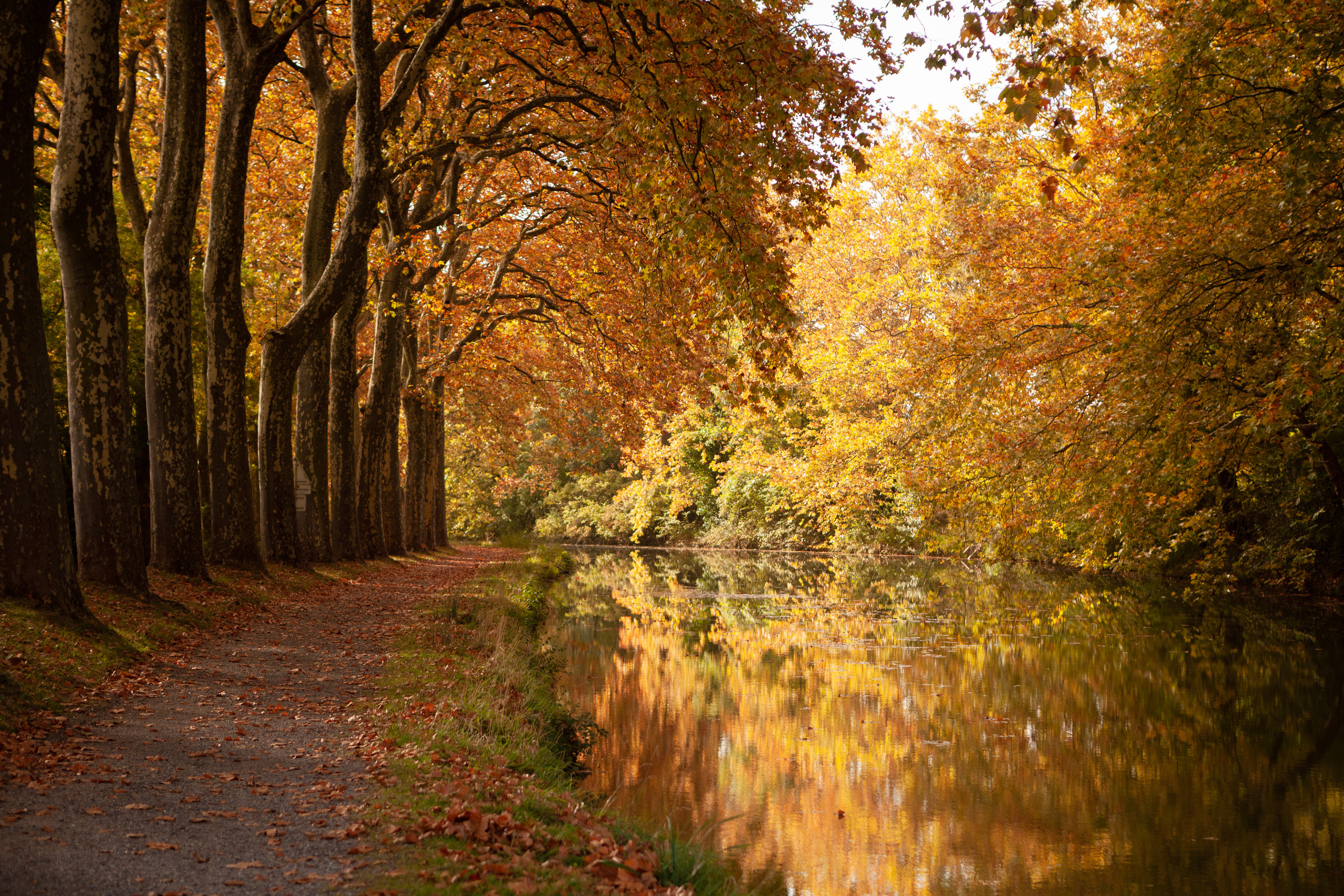 Family session at Toulouse by Canal du Midi. Eugenie Smirnova — wedding, corporate and lifestyle photographer in Toulouse and Southwest France