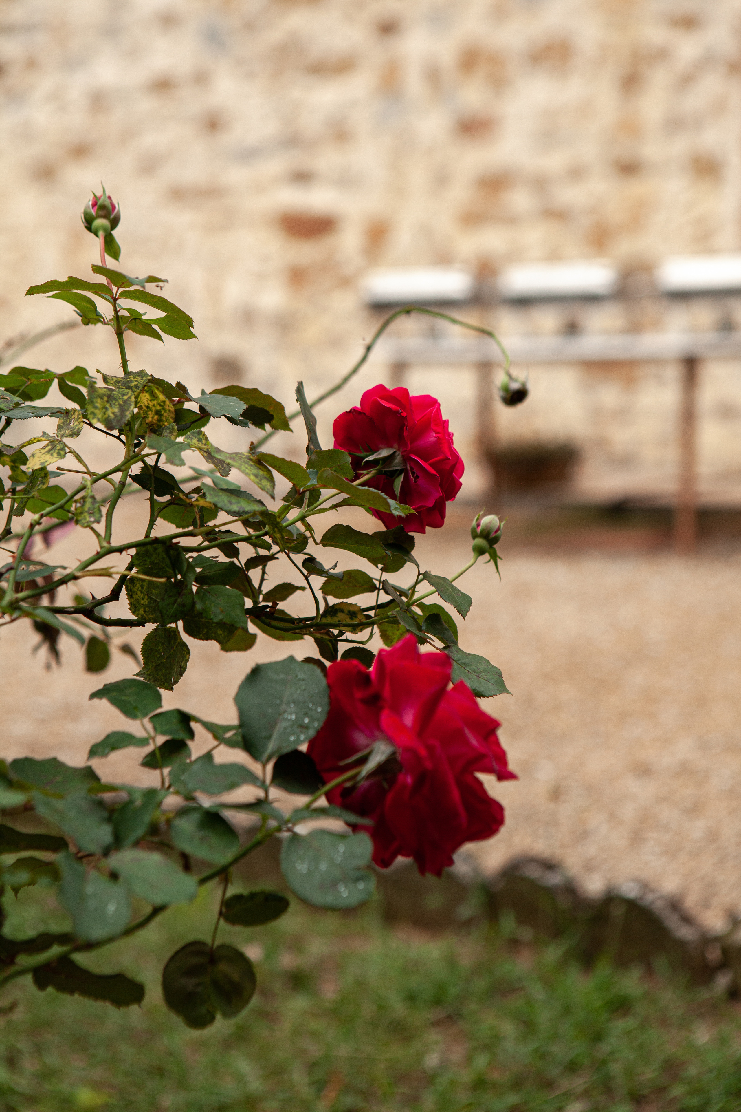 Event photo session for ANT Group. Eugénie Smirnova — Photographe à Toulouse et dans le Sud-Ouest
