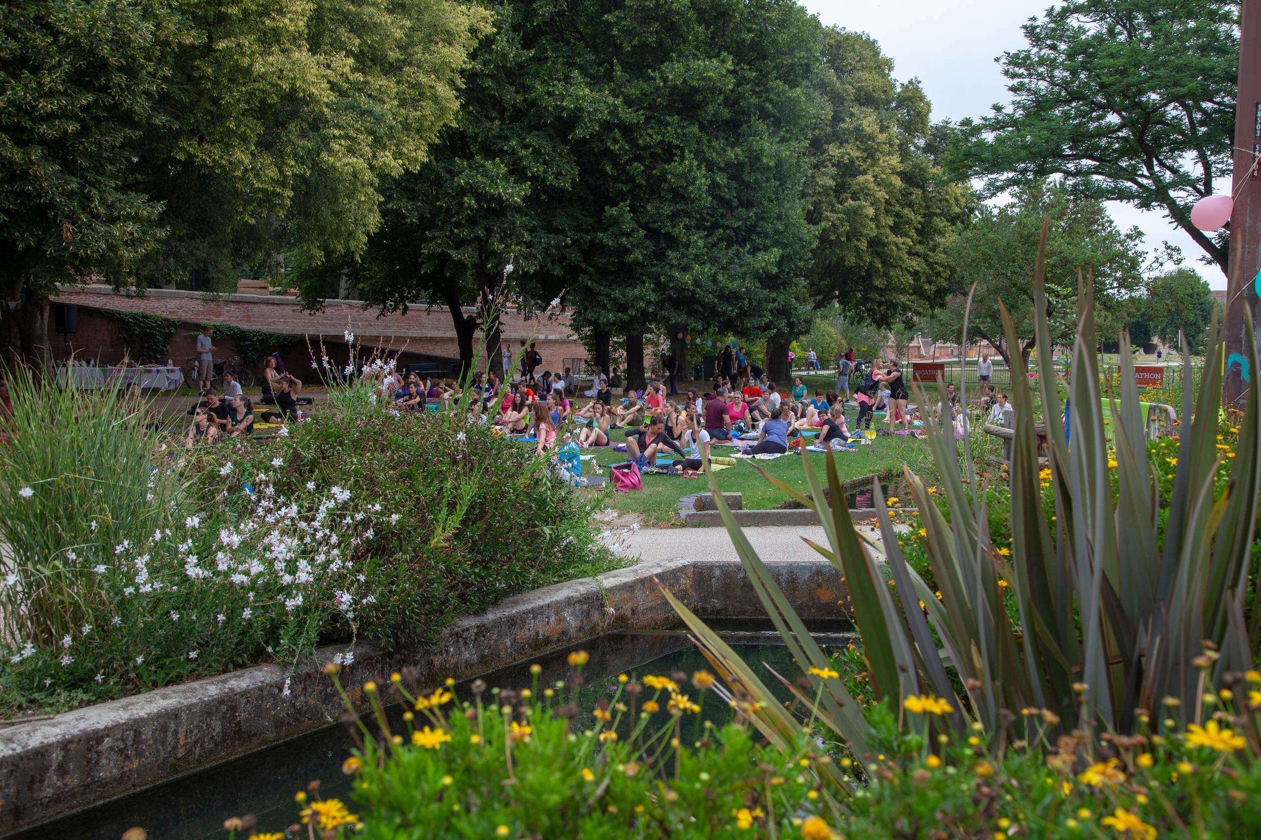 Event photographer Toulouse. Eugenie Smirnova — wedding, corporate and lifestyle photographer in Toulouse and Southwest France