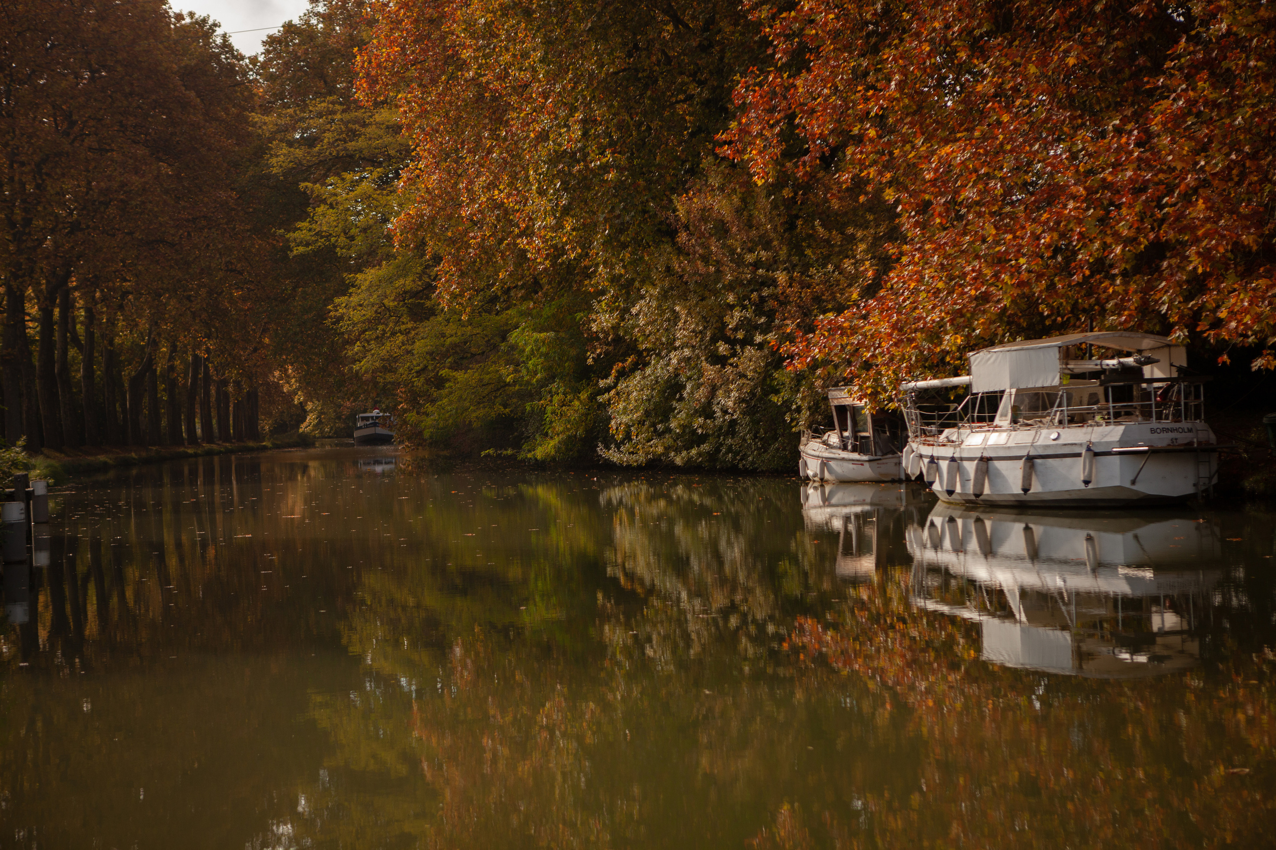 Family session at Toulouse by Canal du Midi. Eugenie Smirnova — wedding, corporate and lifestyle photographer in Toulouse and Southwest France