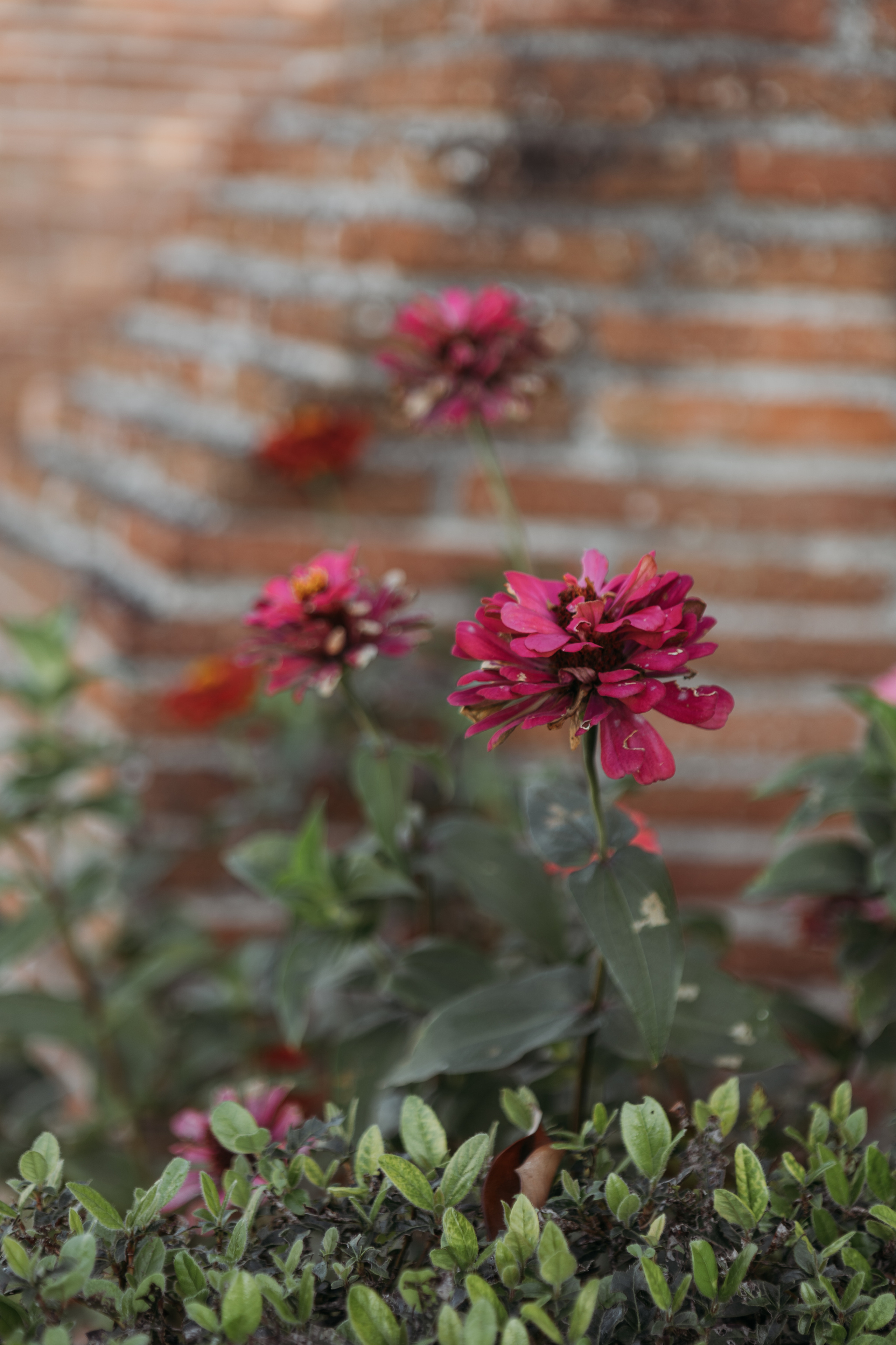 Baptême d’Eliott. Eugénie Smirnova — Photographe à Toulouse et dans le Sud-Ouest