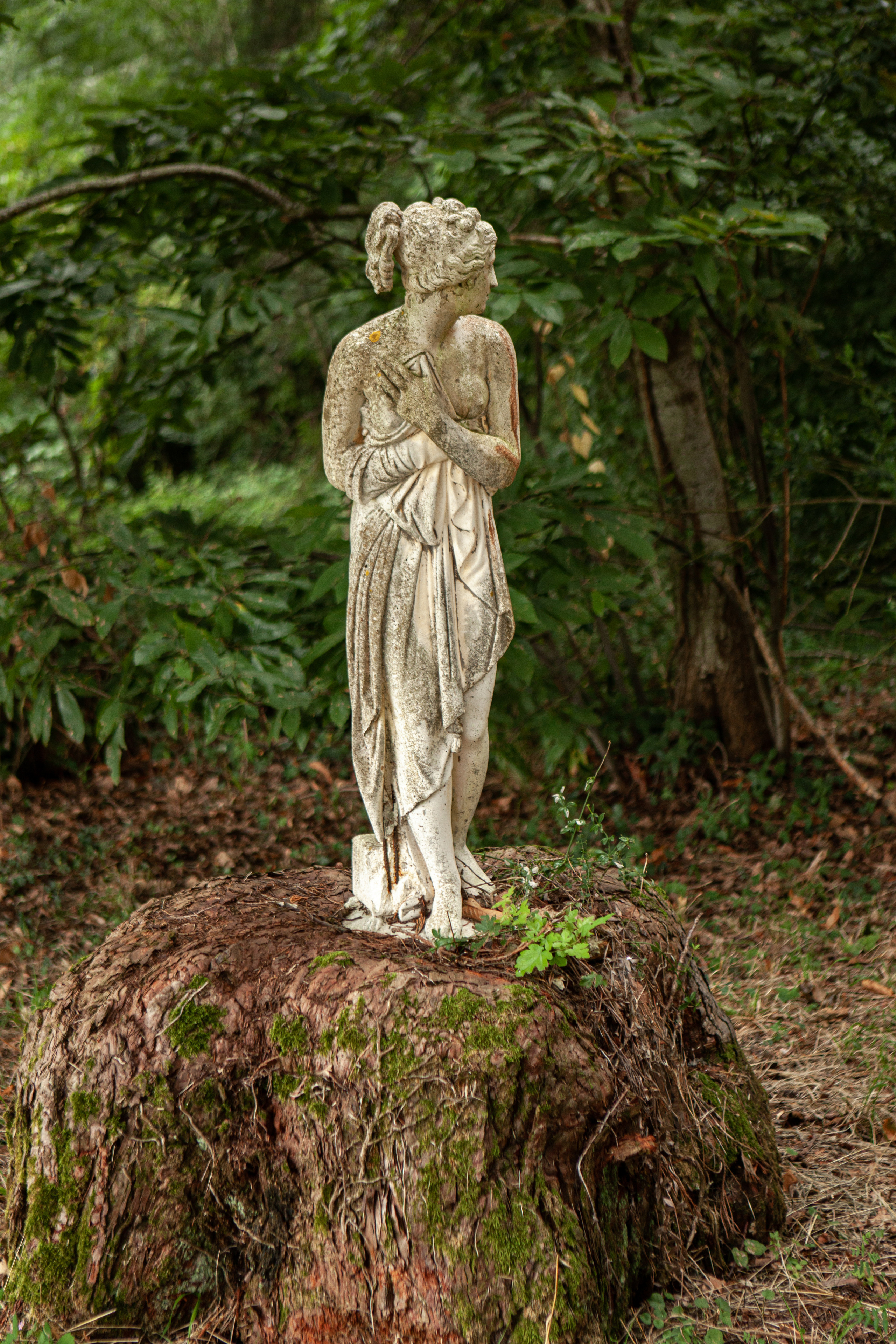 Event photo session for ANT Group. Eugénie Smirnova — Photographe à Toulouse et dans le Sud-Ouest