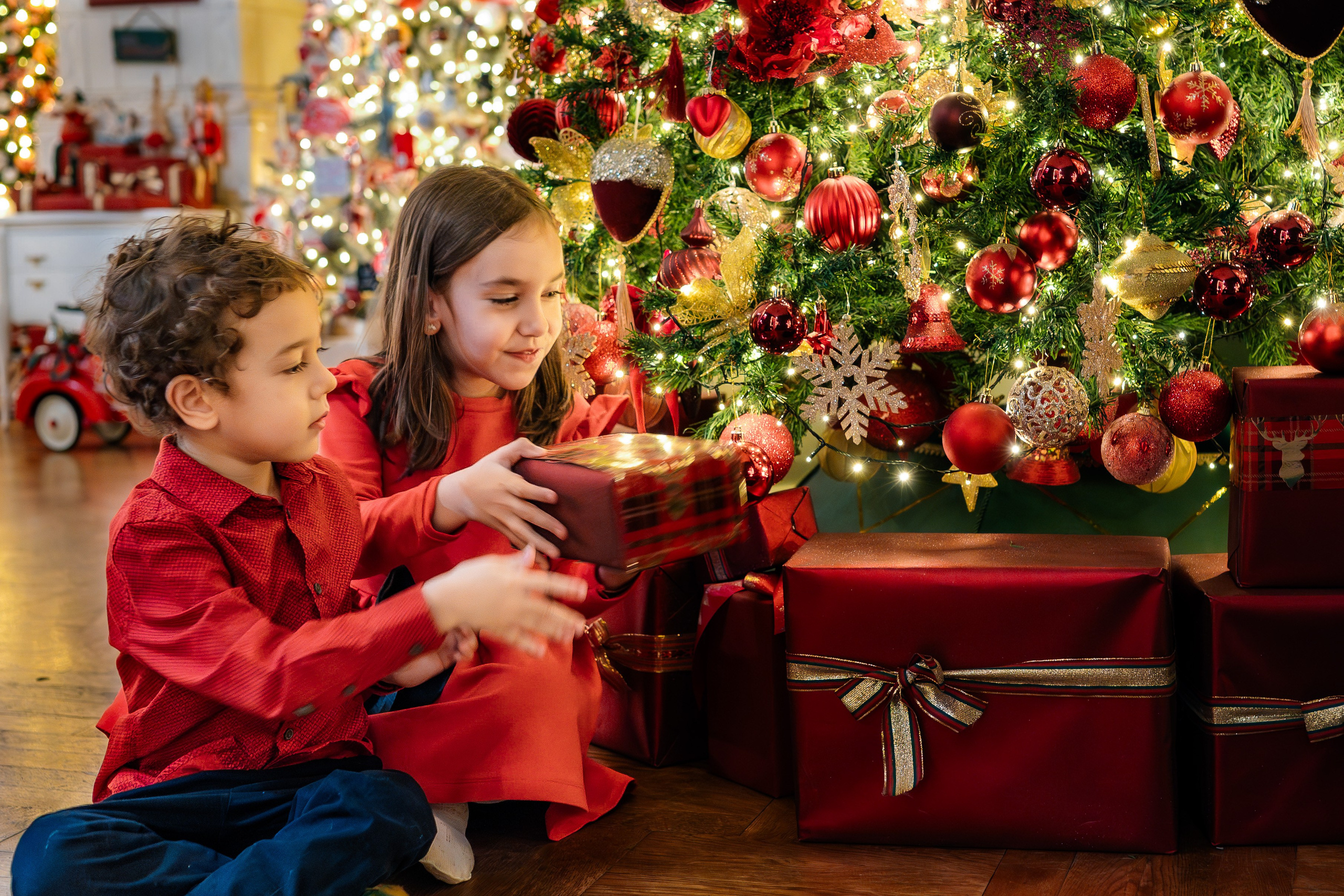 Sedinta foto Maria & Andrei