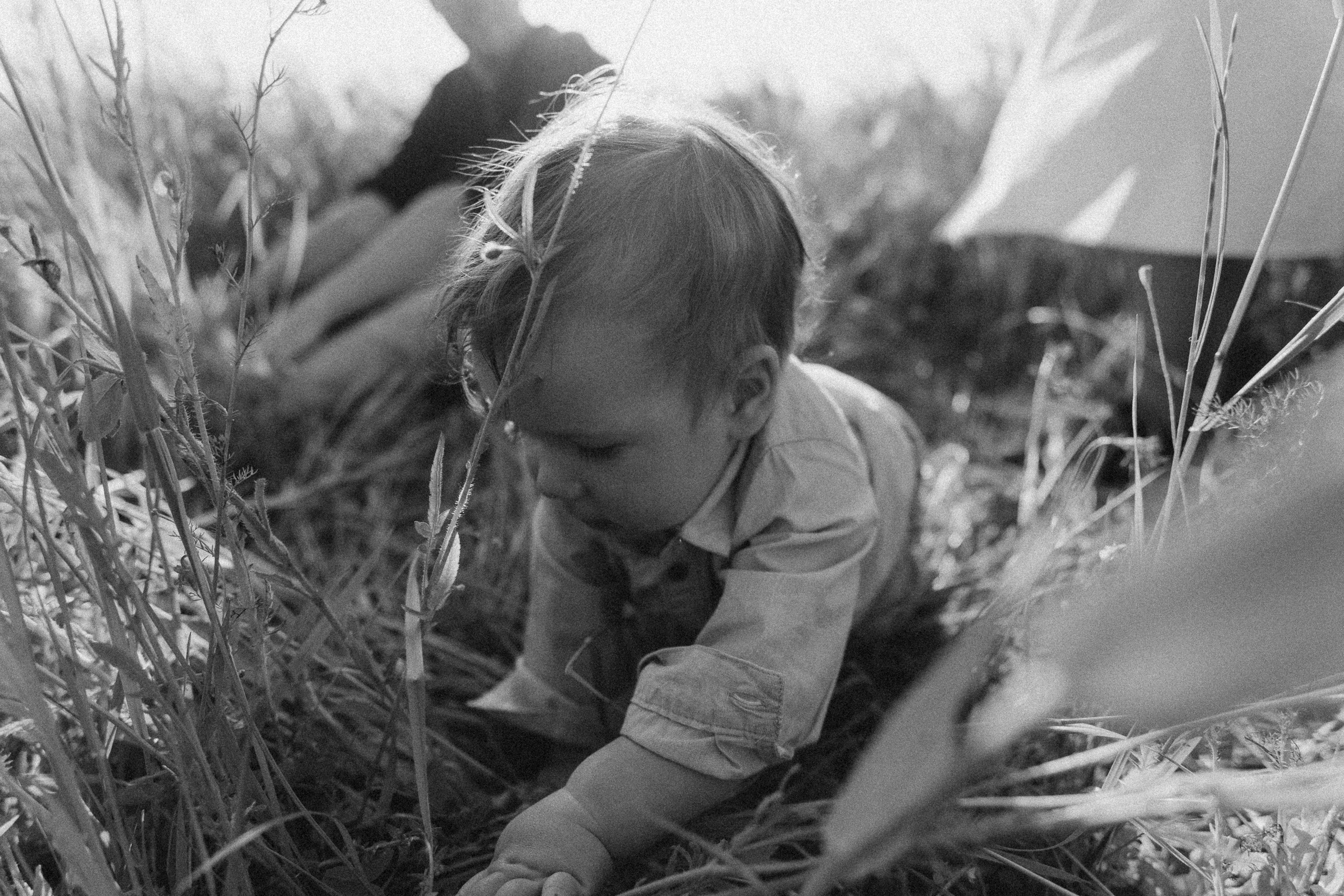 Familienfotos in der Natur. Familien & Hochzeitfotografin Nadja Holzmann