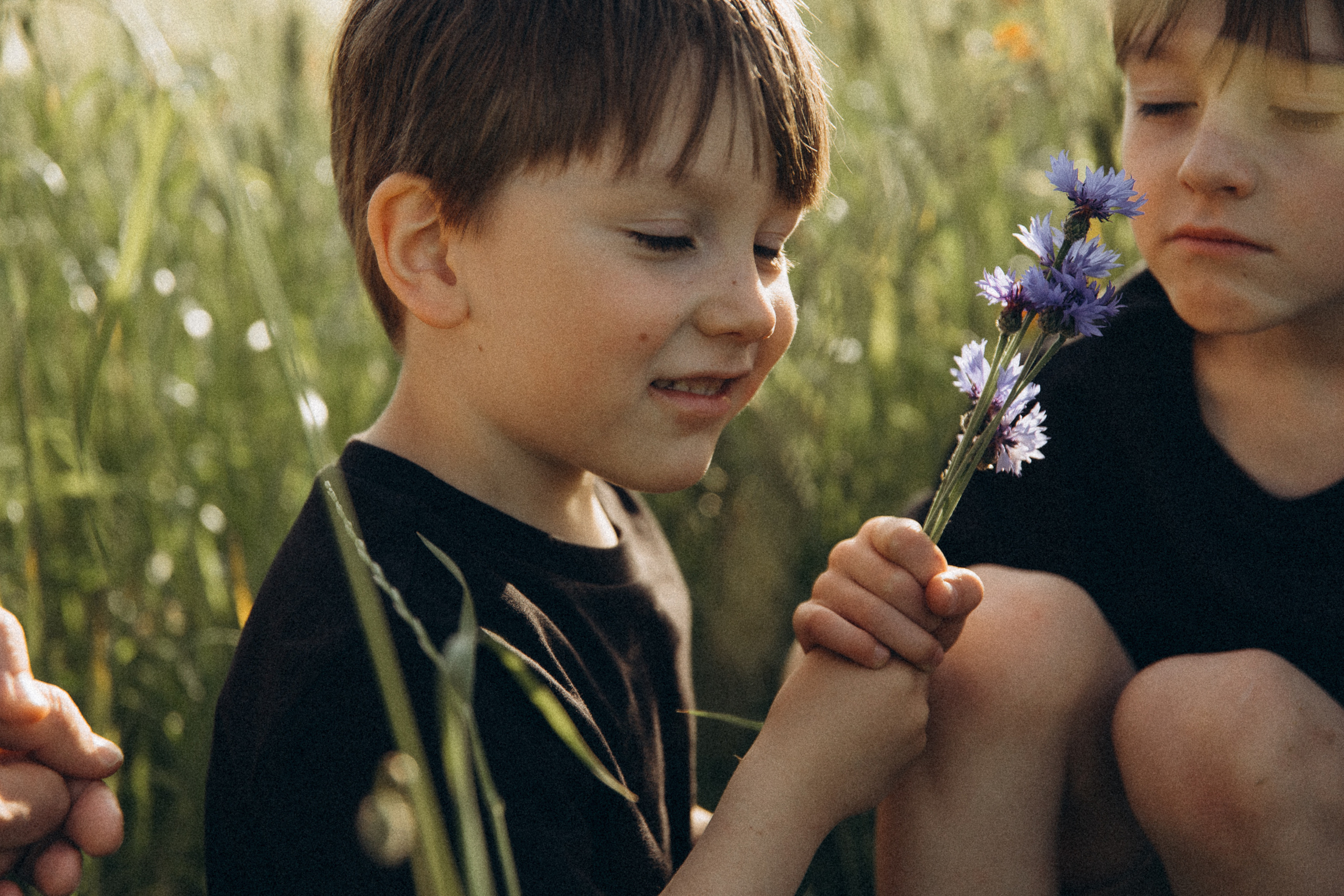 Familienfotos in der Natur. Familien & Hochzeitfotografin Nadja Holzmann