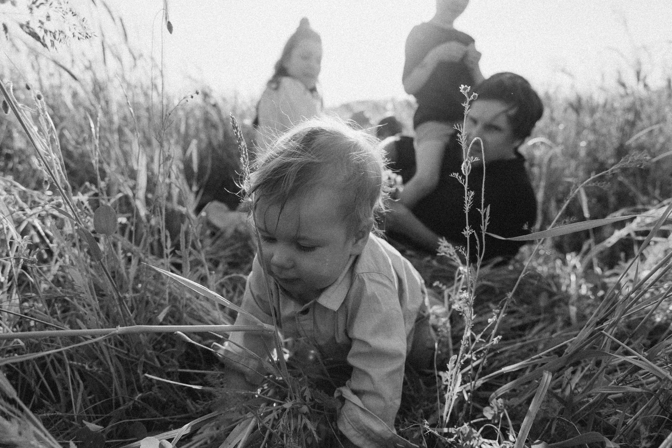 Familienfotos in der Natur. Familien & Hochzeitfotografin Nadja Holzmann