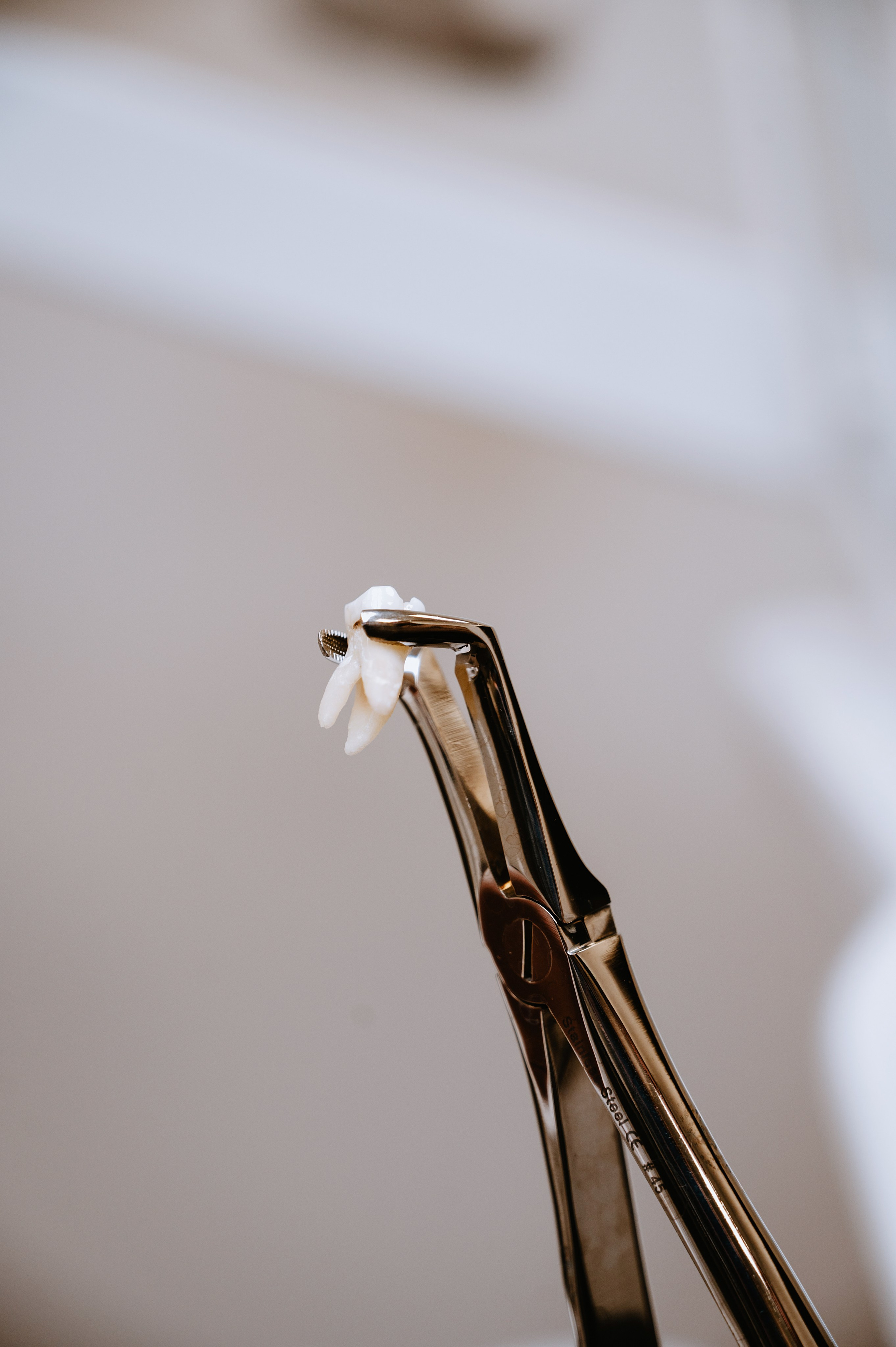 EDClinic dentistry in Prague. ANNA-MARIA PHOTO CONTENT CREATOR — фотограф, естет, художник і візуальний експерт Instagram у Празі