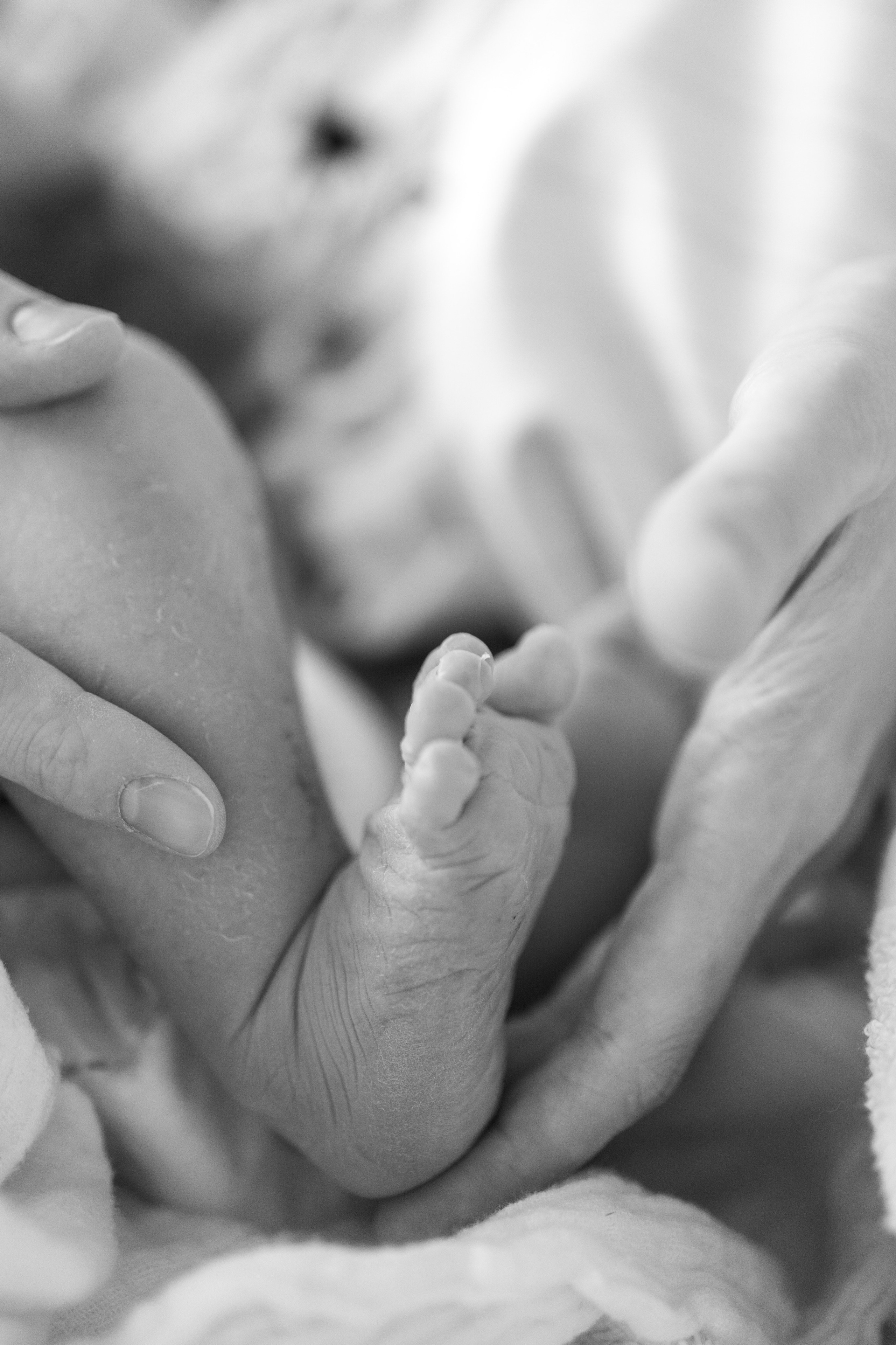 Exclusive maternity and newborn photography. Dresden, Leipzig, Berlin. Family & Maternity Photographer in Dresden Tatiana Mudryak