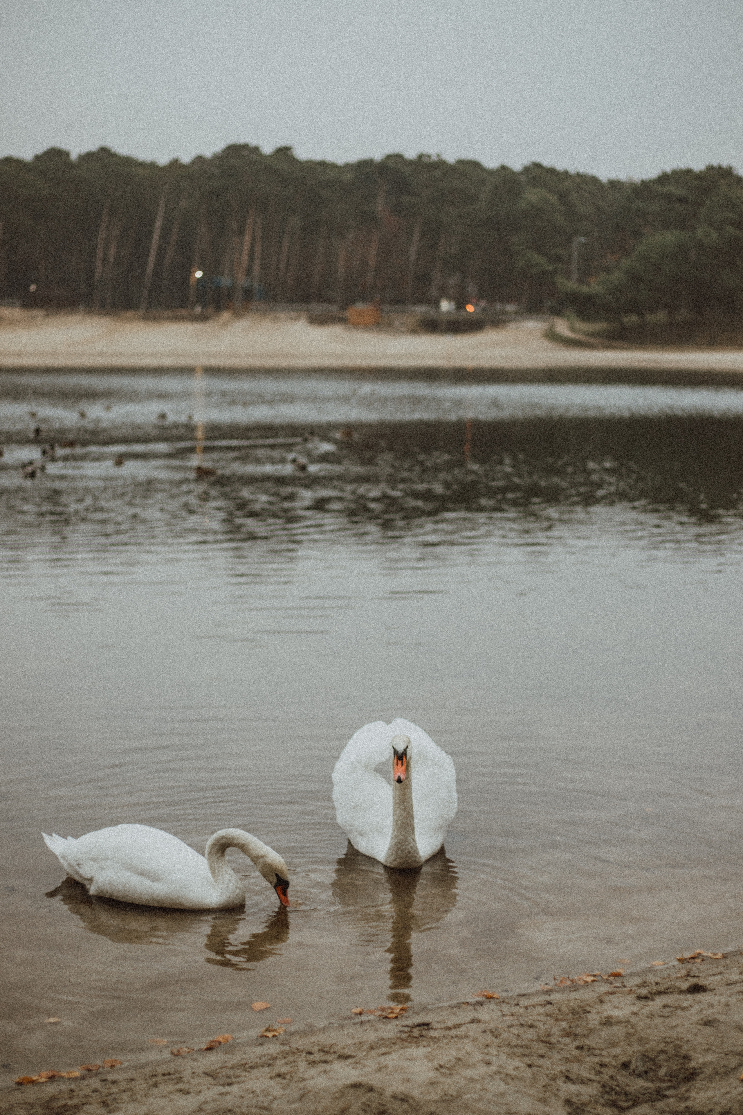 Ilya ♡ Kate. Fotograf Mykhalchuk Inna Kraków