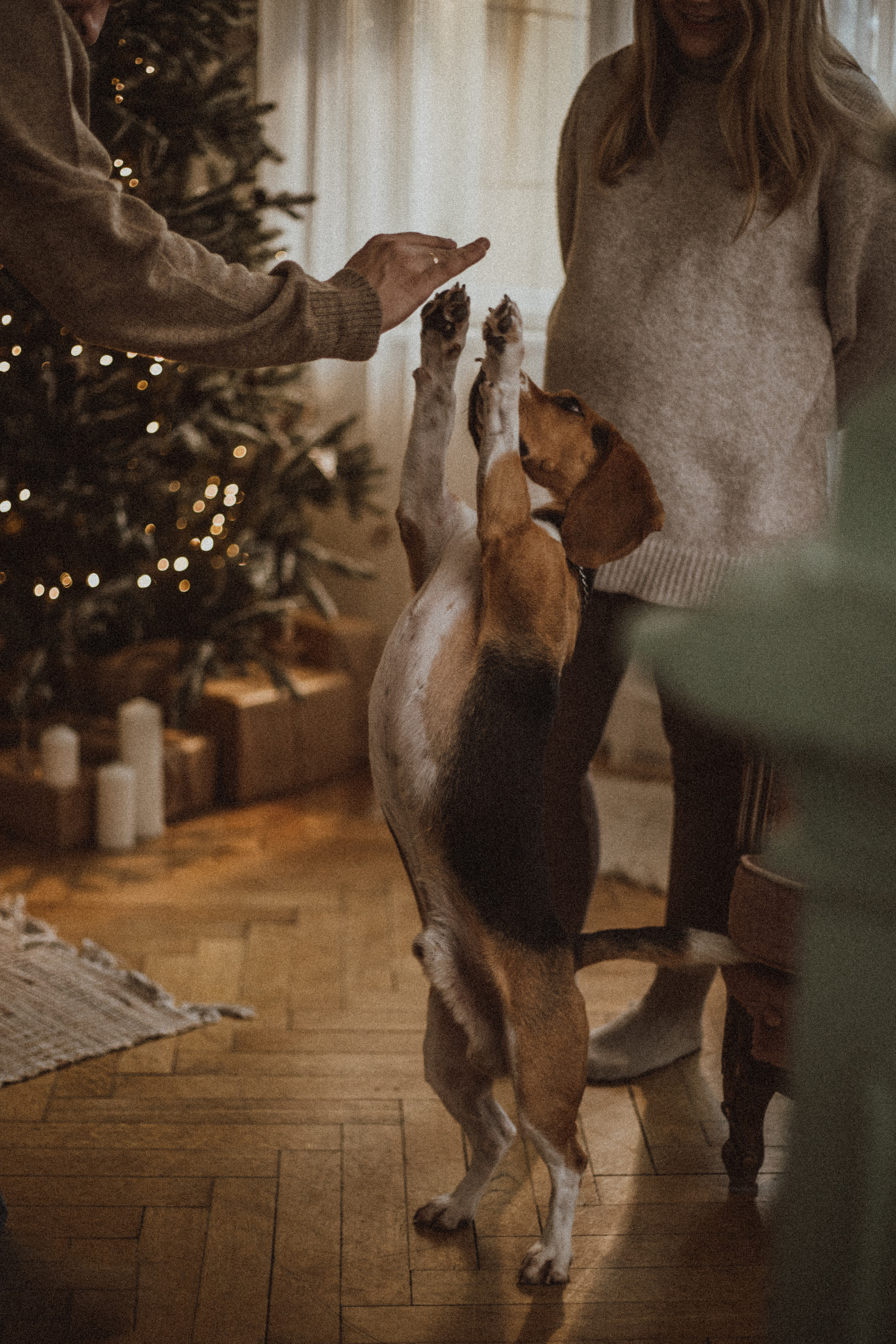 ALESIA DIMA. Fotograf Mykhalchuk Inna Kraków