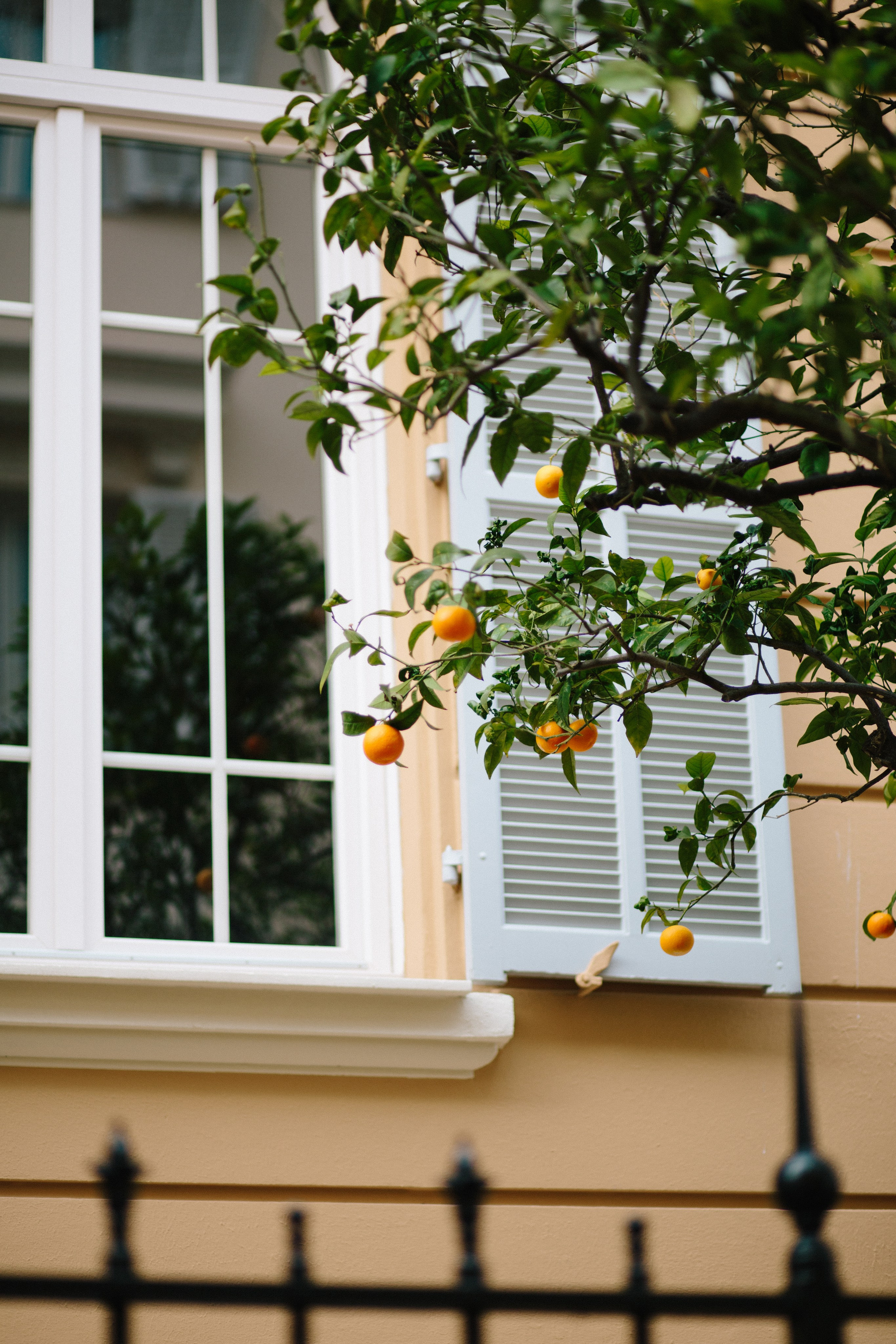 Монако. Фотограф в Германии — Мария Чистякова