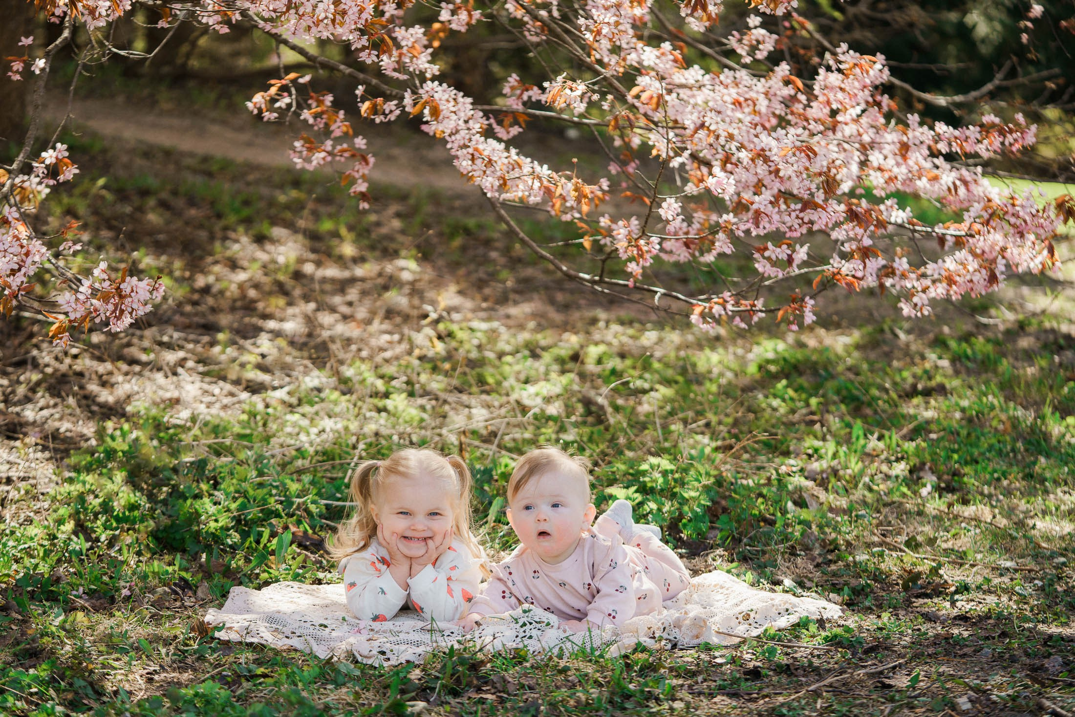 Perhekuvaus kirsikkapuistossa Helsingissä