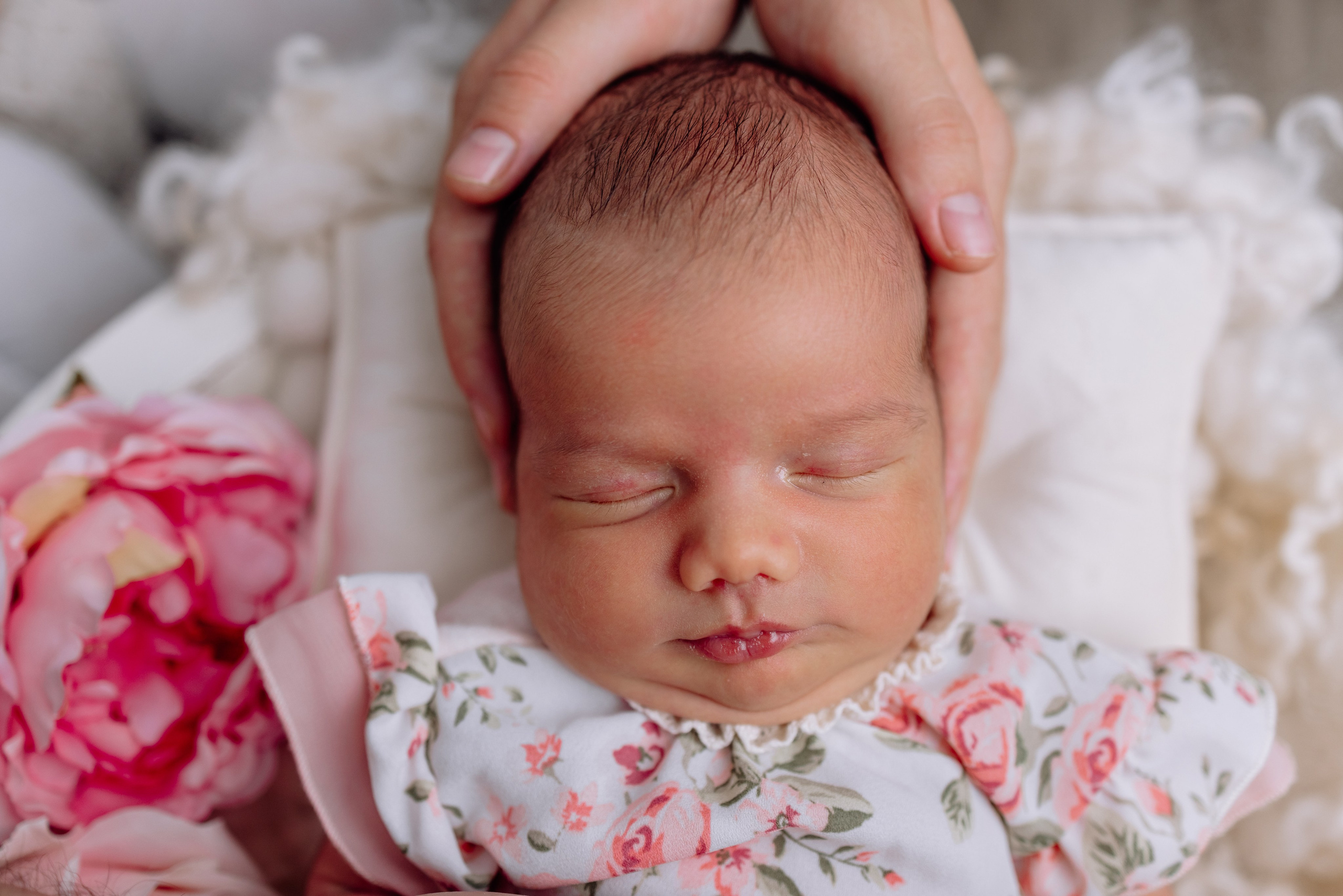 Zwei kleine Prinzessinnen mit Mama und Papa - Familienshooting zuhause. Hochzeitsfotograf München Taufe Familienfotograf Tanja Mauke