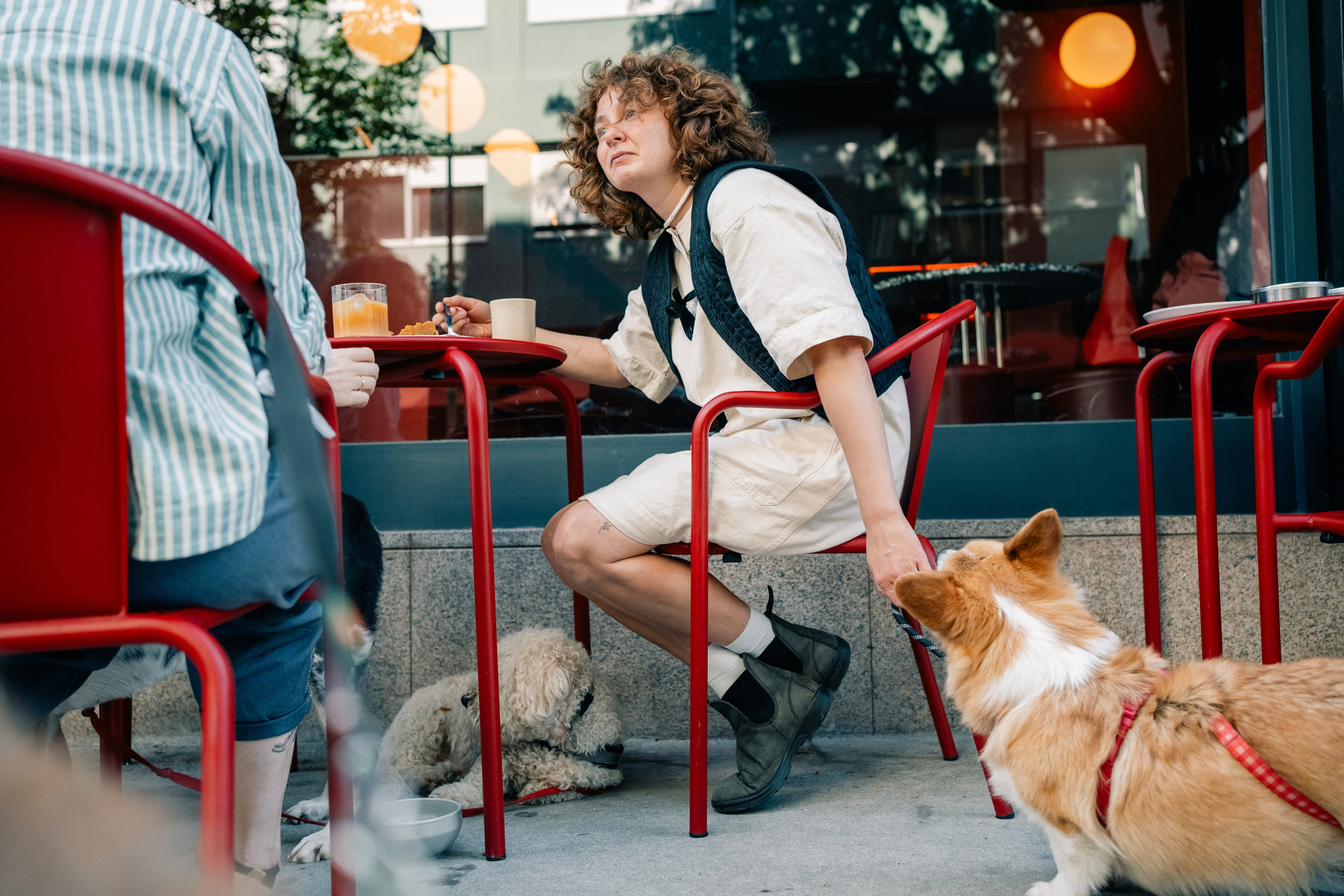 Yana & Pedro & Doggos. Maria Sher. Fotógrafa profissional do Porto, Portugal