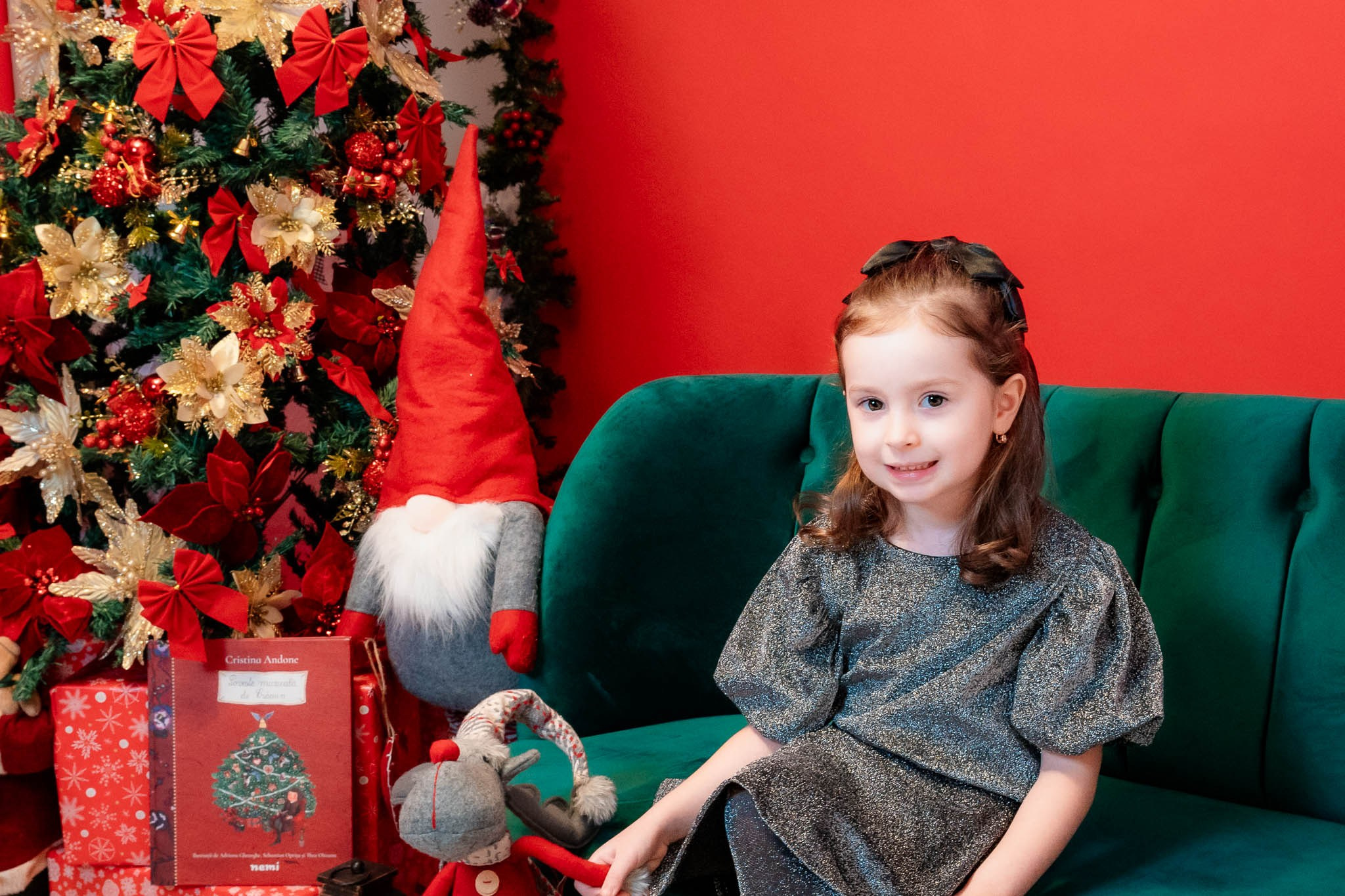 Sedinta Craciun Nicoleta