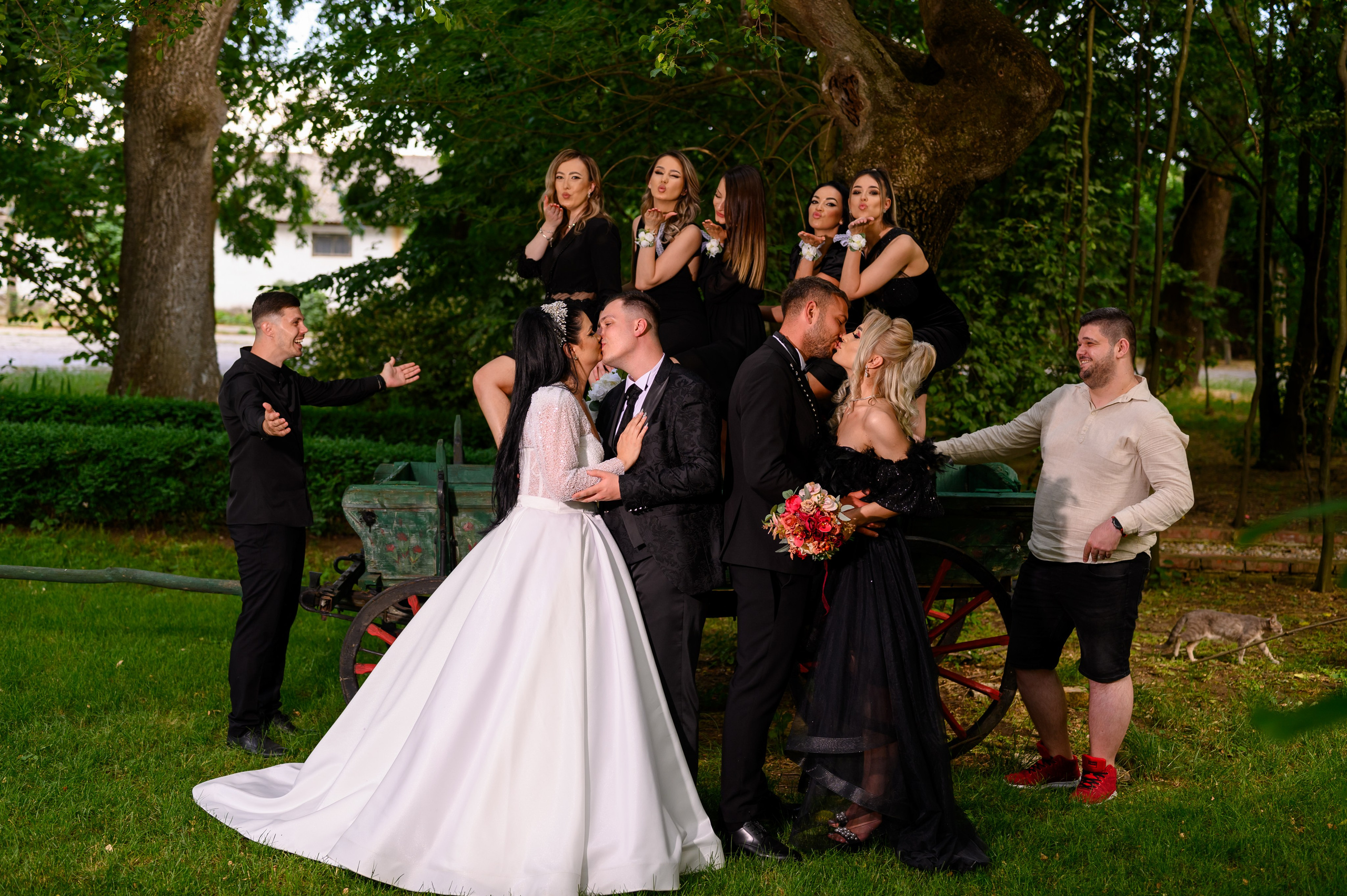 Nunta Laura & Dragos