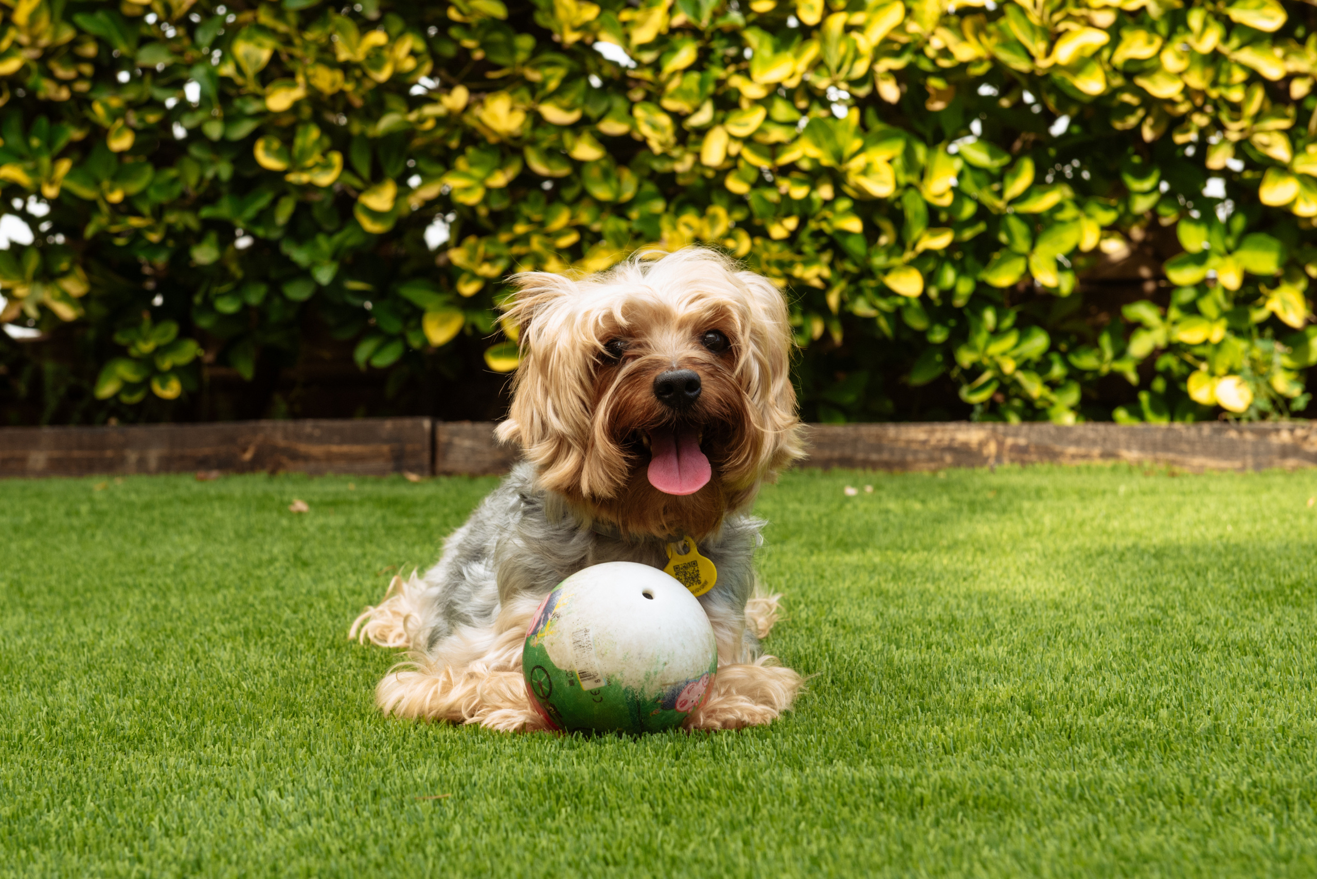 Darien Bautizo Barcelona. Fotógrafa Ekaterina Gasanova - sesiones de fotos en Barcelona