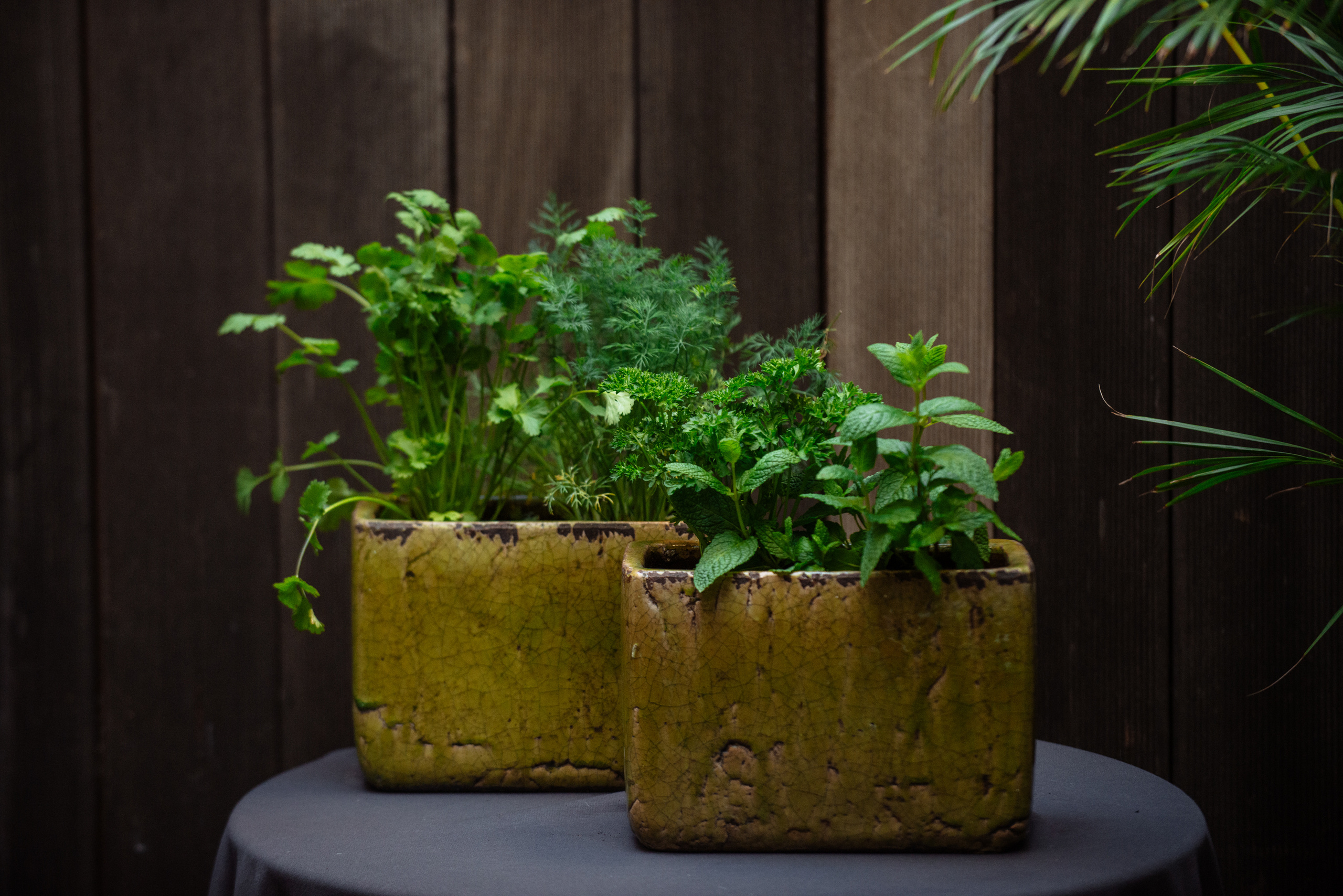 Floratelie Chalaya ramos de flores. Фотограф Екатерина Гасанова — фотосессии в Барселоне