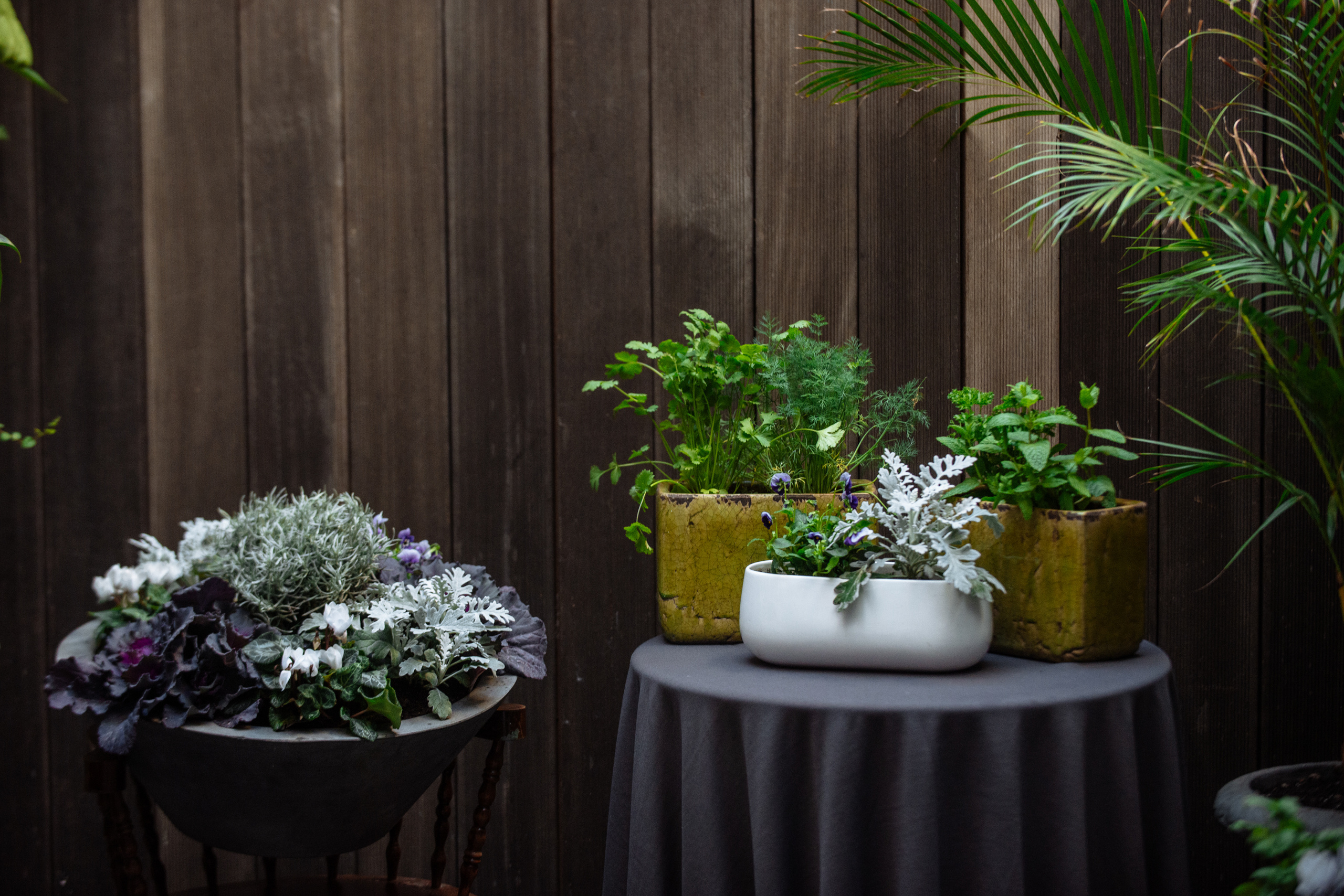 Floratelie Chalaya ramos de flores. Фотограф Екатерина Гасанова — фотосессии в Барселоне