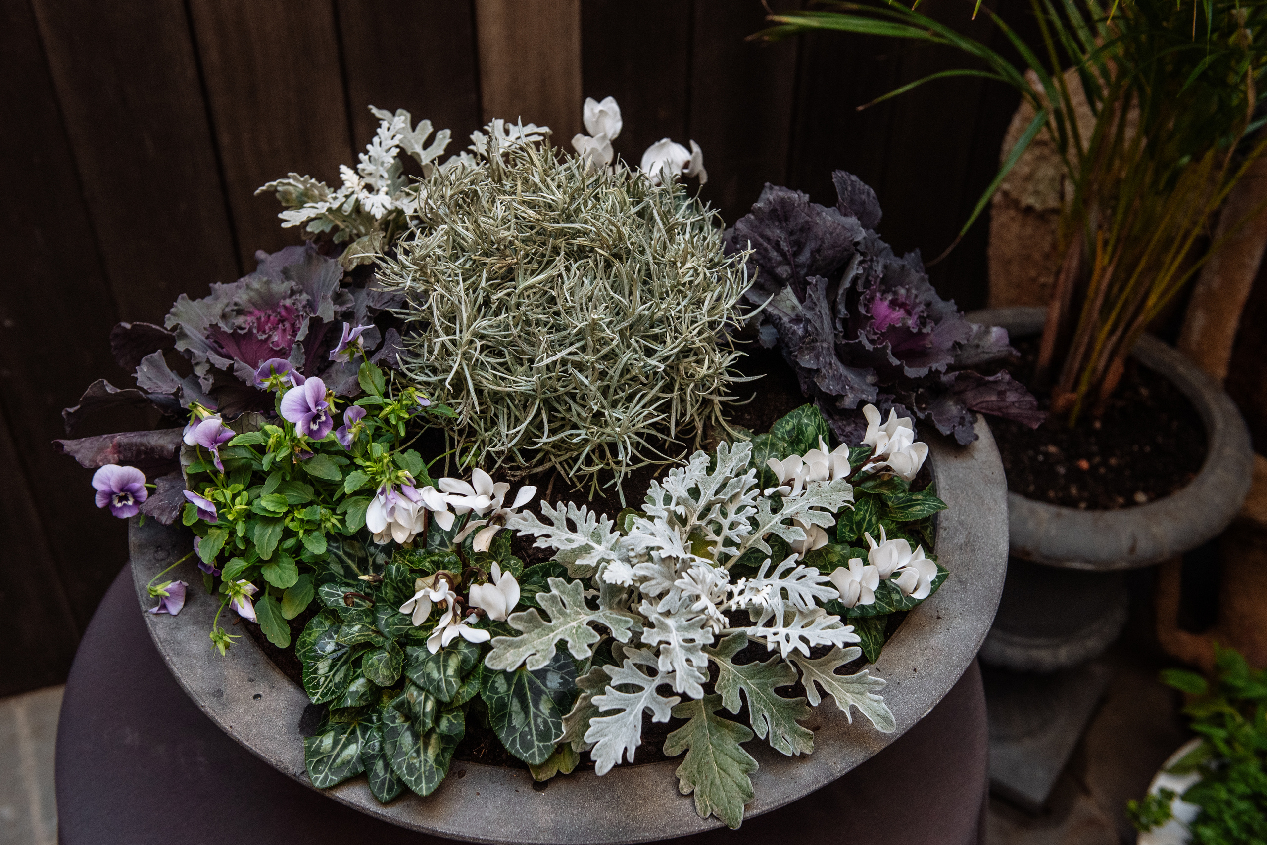 Floratelie Chalaya ramos de flores. Фотограф Екатерина Гасанова — фотосессии в Барселоне