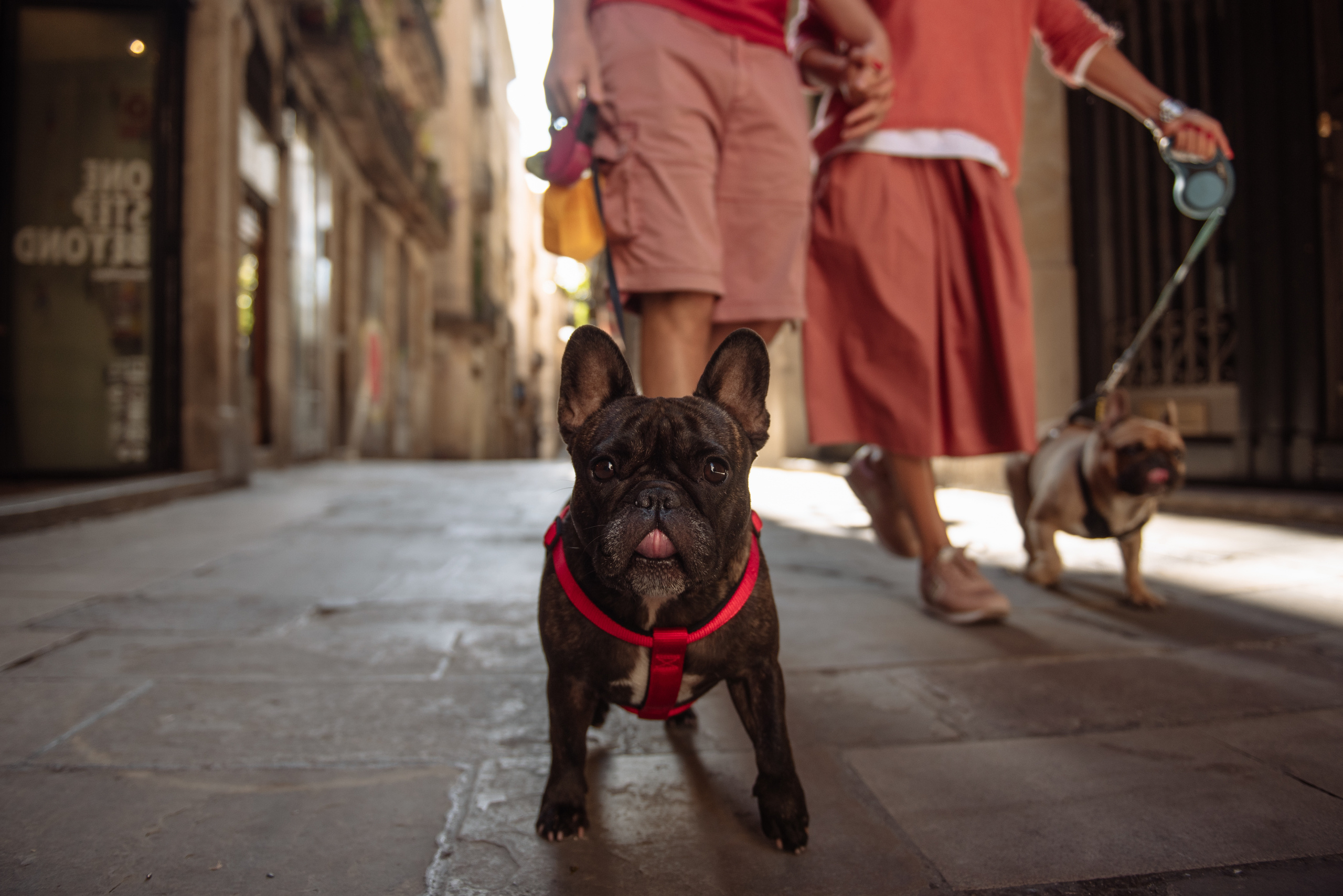 Olga Nail y pequeño Nikó. Professional photography services in Barcelona by Ekaterina Gasanova