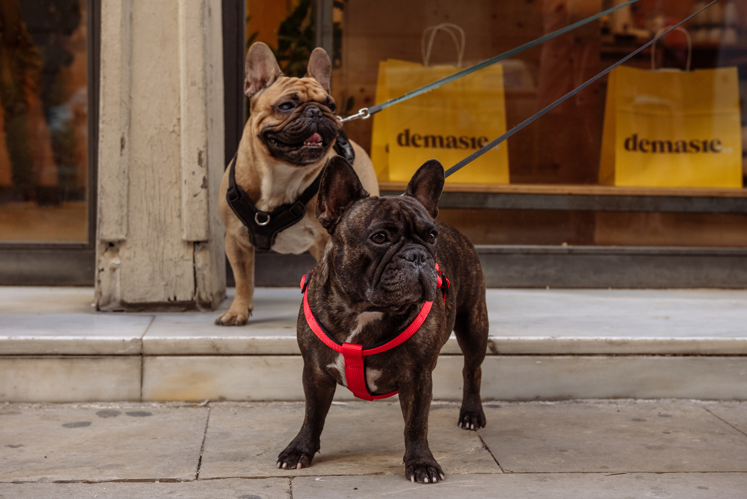 Olga Nail y pequeño Nikó. Professional photography services in Barcelona by Ekaterina Gasanova