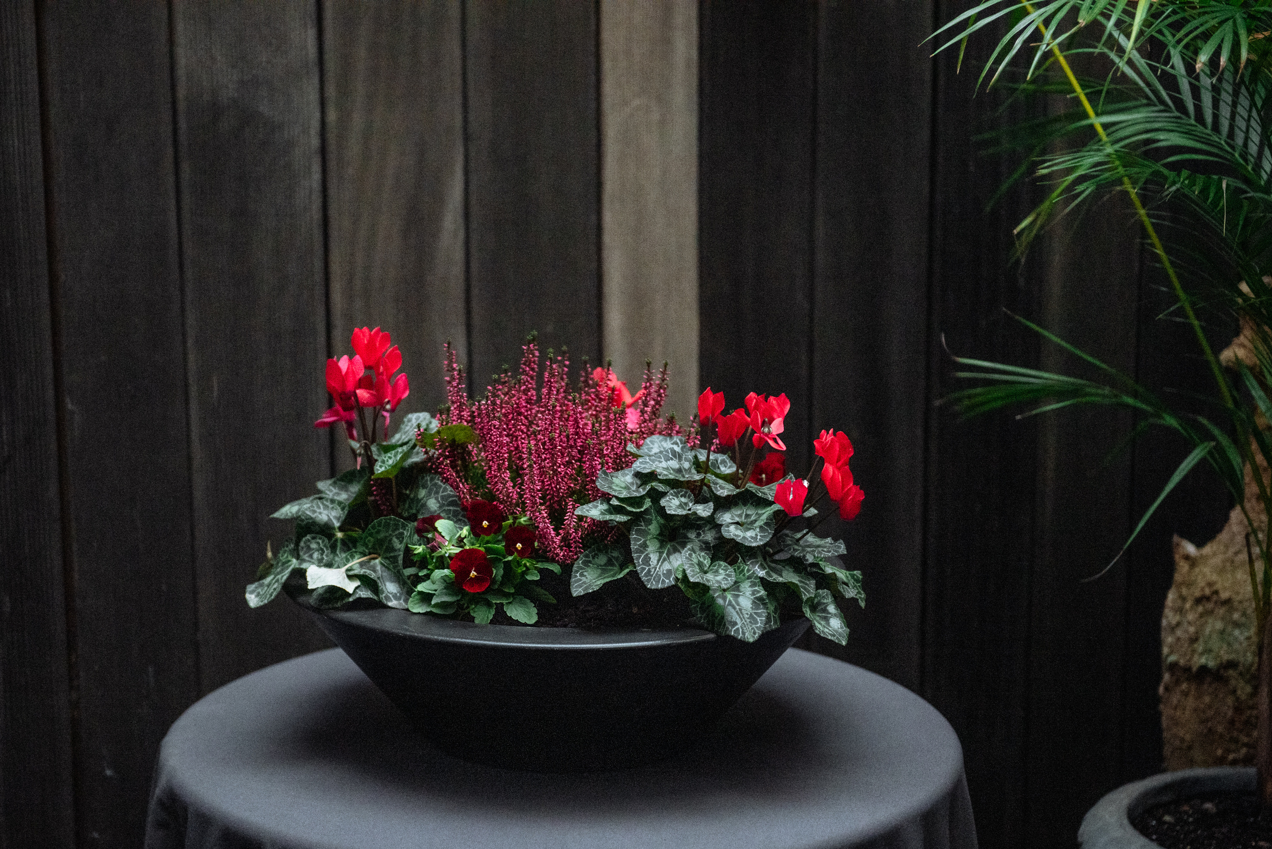 Floratelie Chalaya ramos de flores. Фотограф Екатерина Гасанова — фотосессии в Барселоне