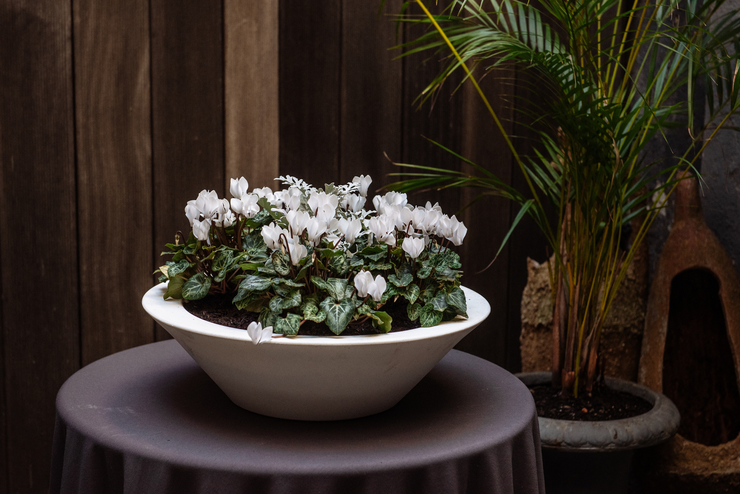 Floratelie Chalaya ramos de flores. Фотограф Екатерина Гасанова — фотосессии в Барселоне