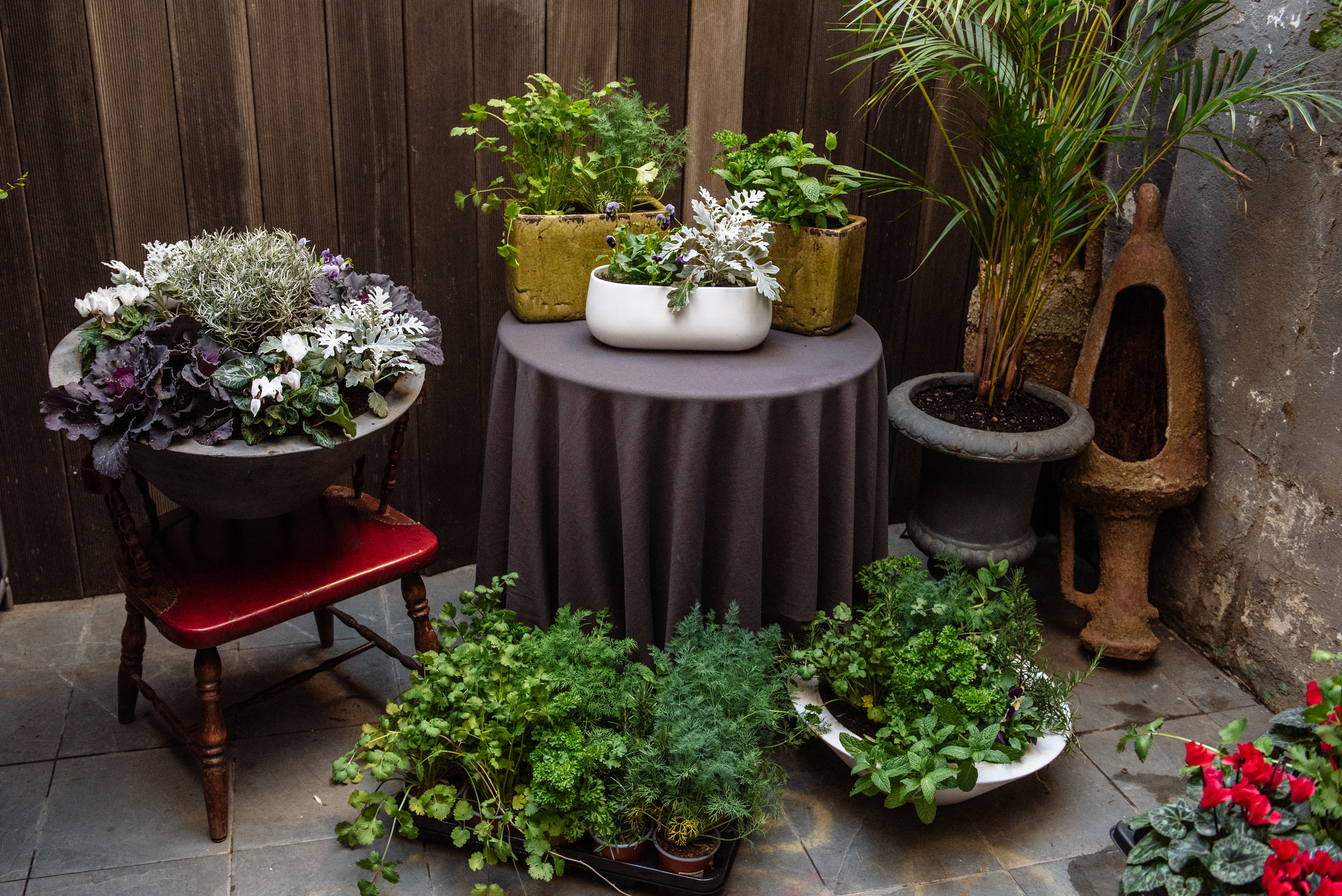 Floratelie Chalaya ramos de flores. Фотограф Екатерина Гасанова — фотосессии в Барселоне