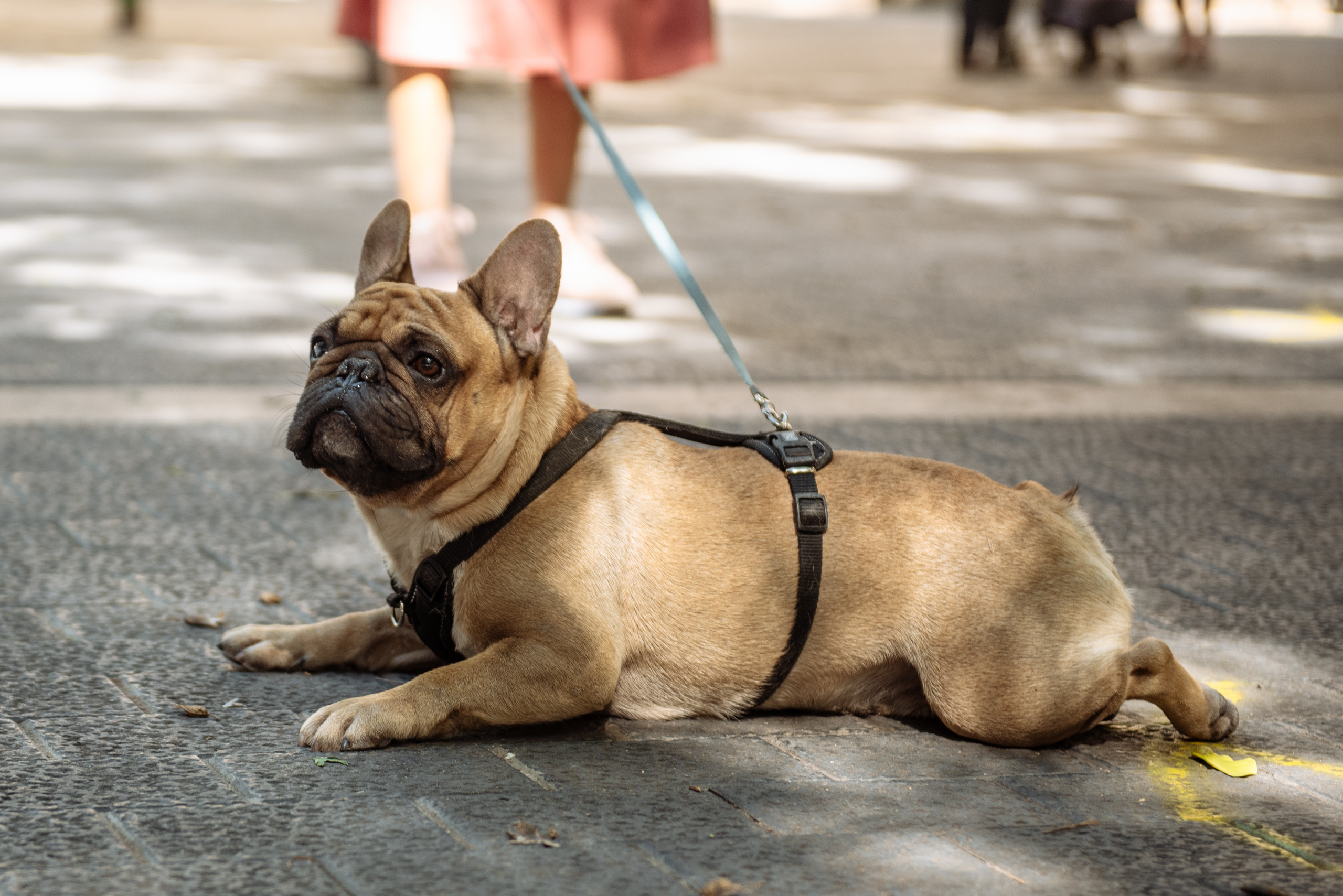Olga Nail y pequeño Nikó. Professional photography services in Barcelona by Ekaterina Gasanova