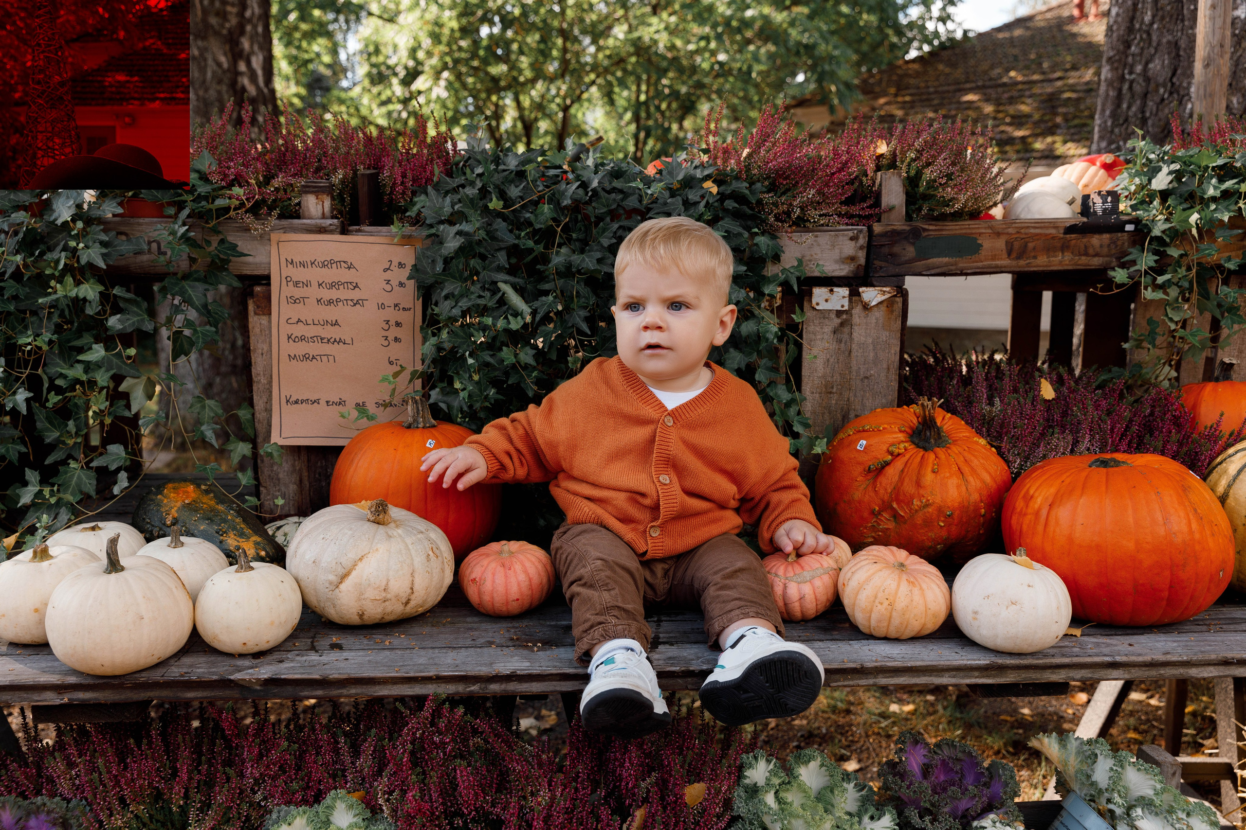 AUTUMN. Silvia Stamati Photography Helsinki