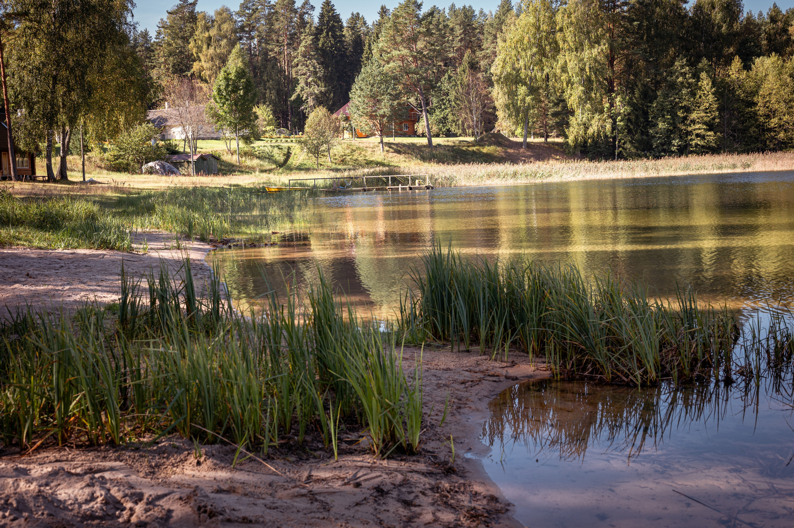 Мероприятия. Фотограф Сергей Трифонов