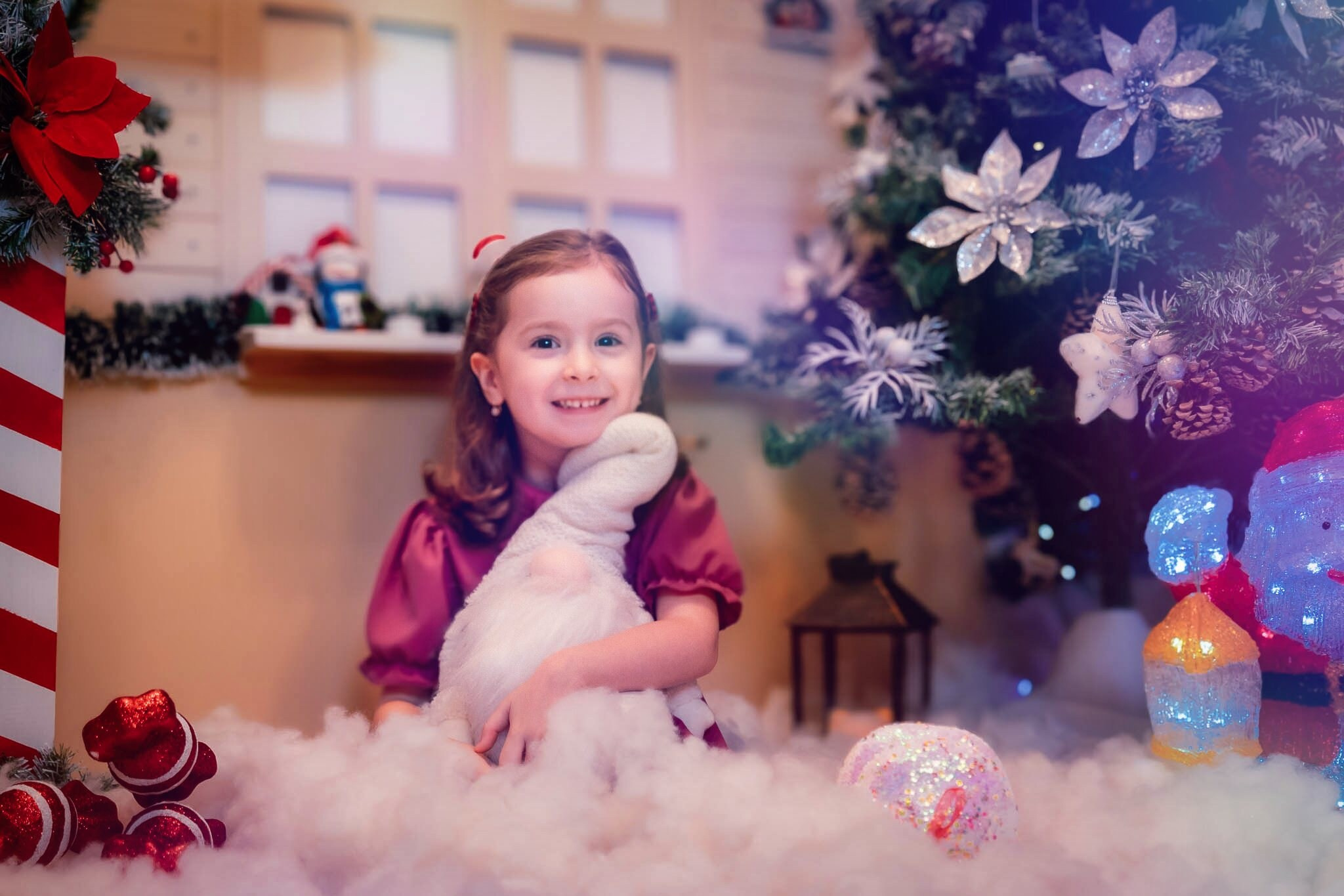 Sedinta Craciun Nicoleta