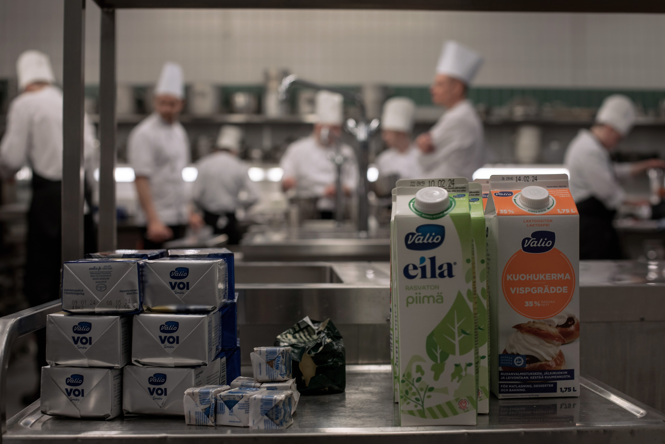 Kokki ja Tarjoilija. Ekaterina Mansur, muotokuvafotografi Suomessa (Helsingissä ja Uudellam