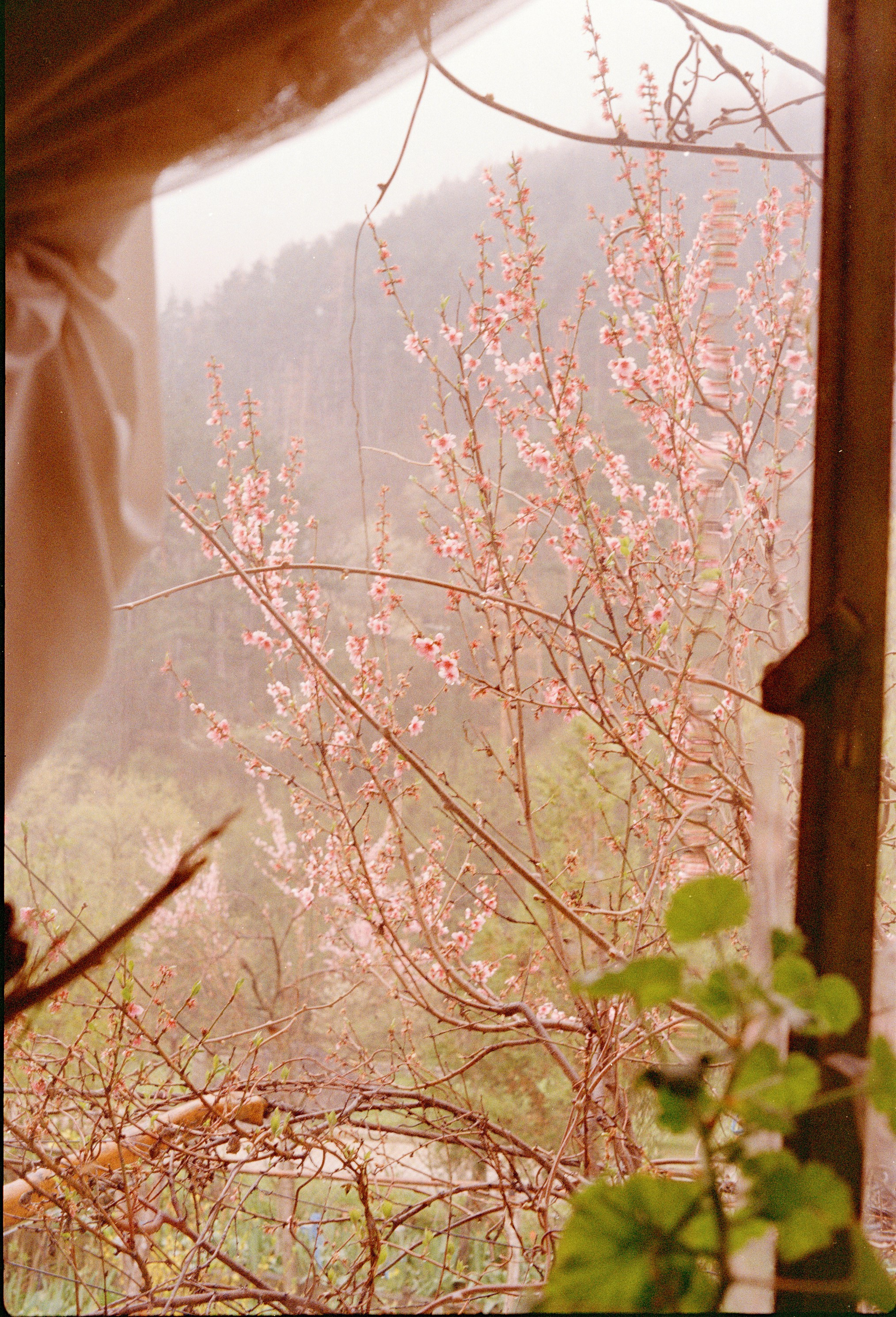 Still Home. Professional Photographer, Videographer in London Dilyana Tankova