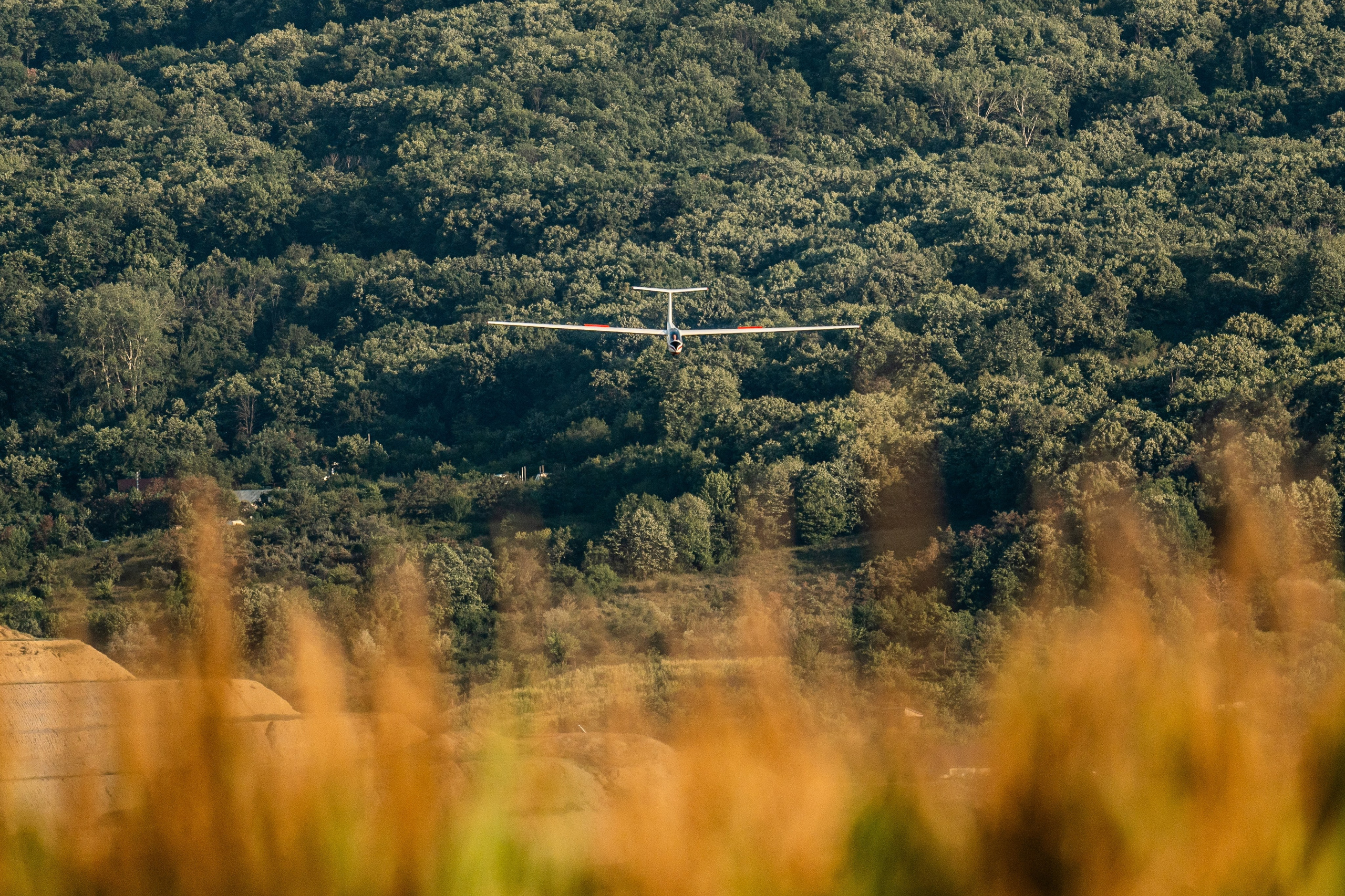 Fotografii diverse - Planes