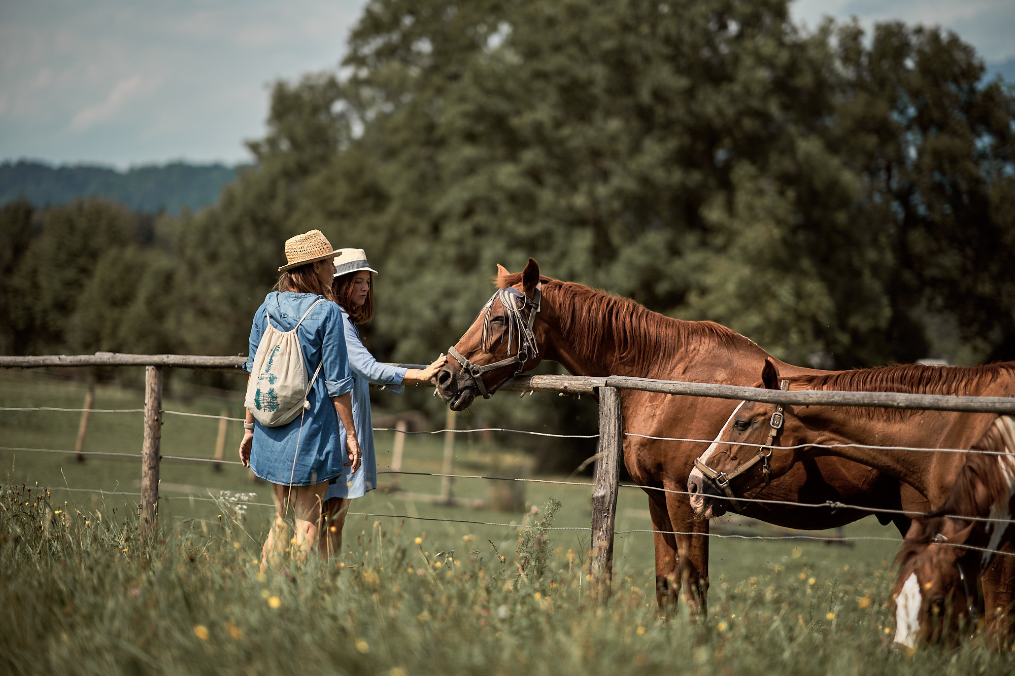 FRIENDS WILL BE FRIENDS. Professional garden design and photography services in London