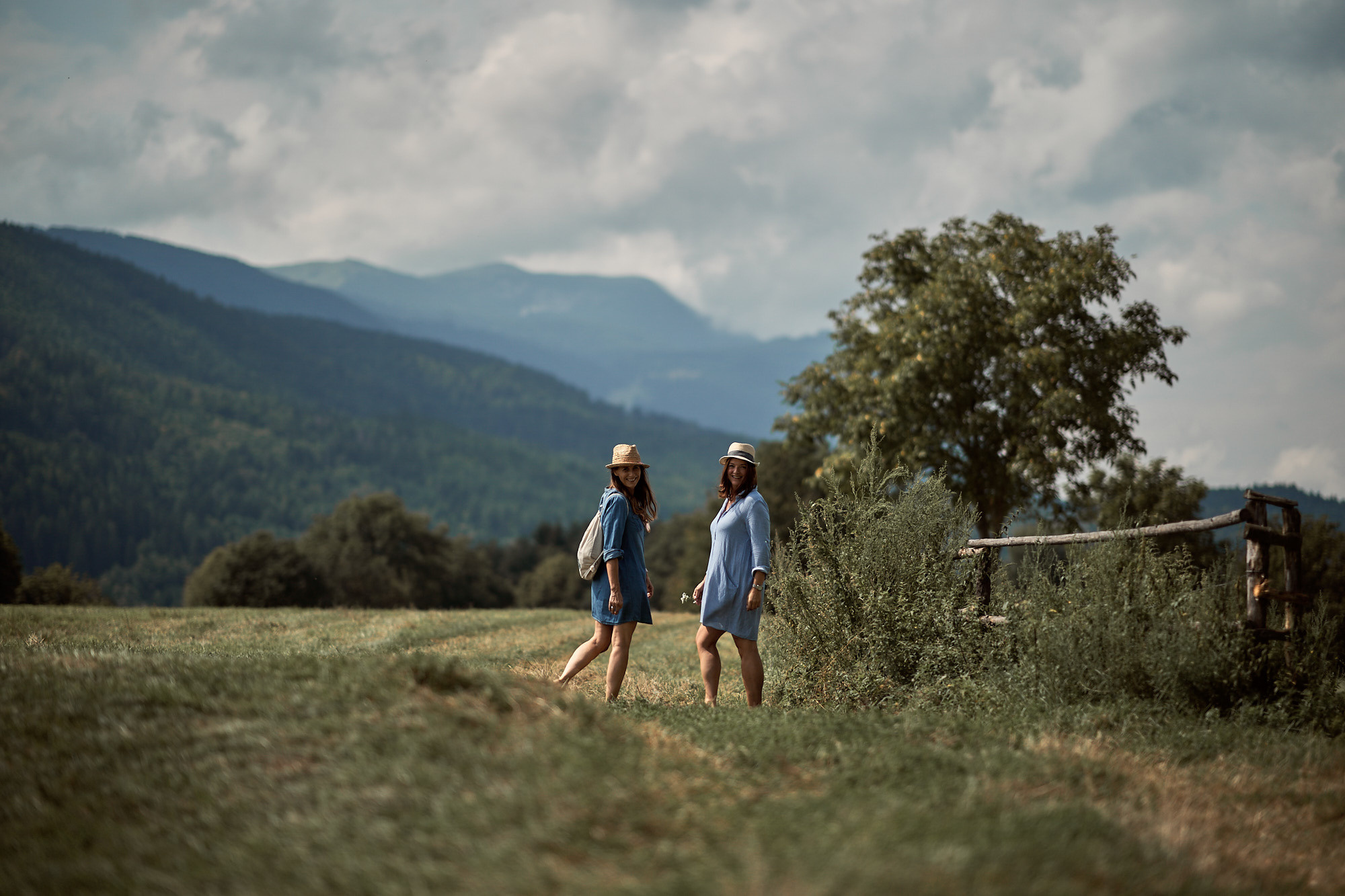 FRIENDS WILL BE FRIENDS. Professional garden design and photography services in London