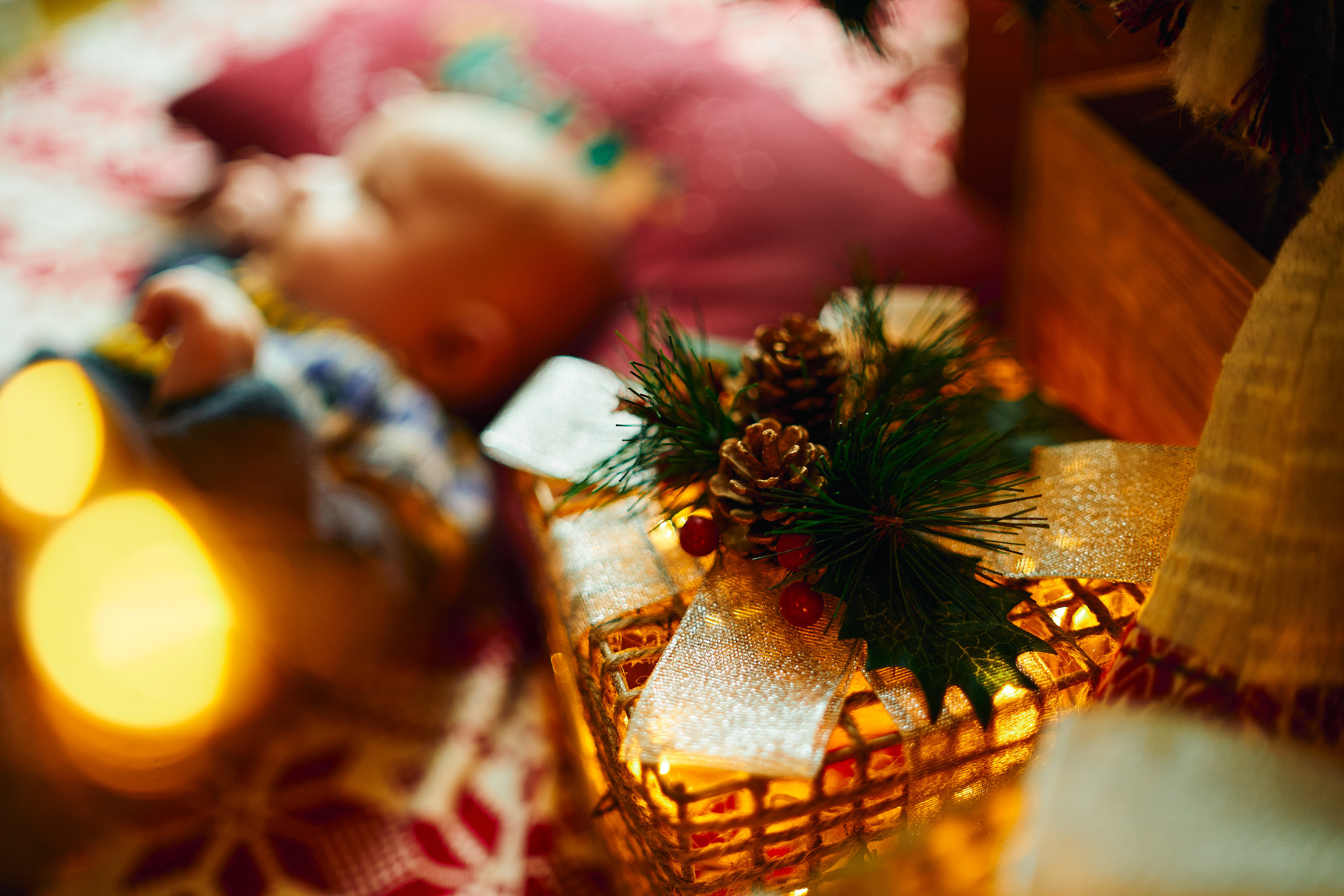 FIRST CHRISTMAS. Professional garden design and photography services in London